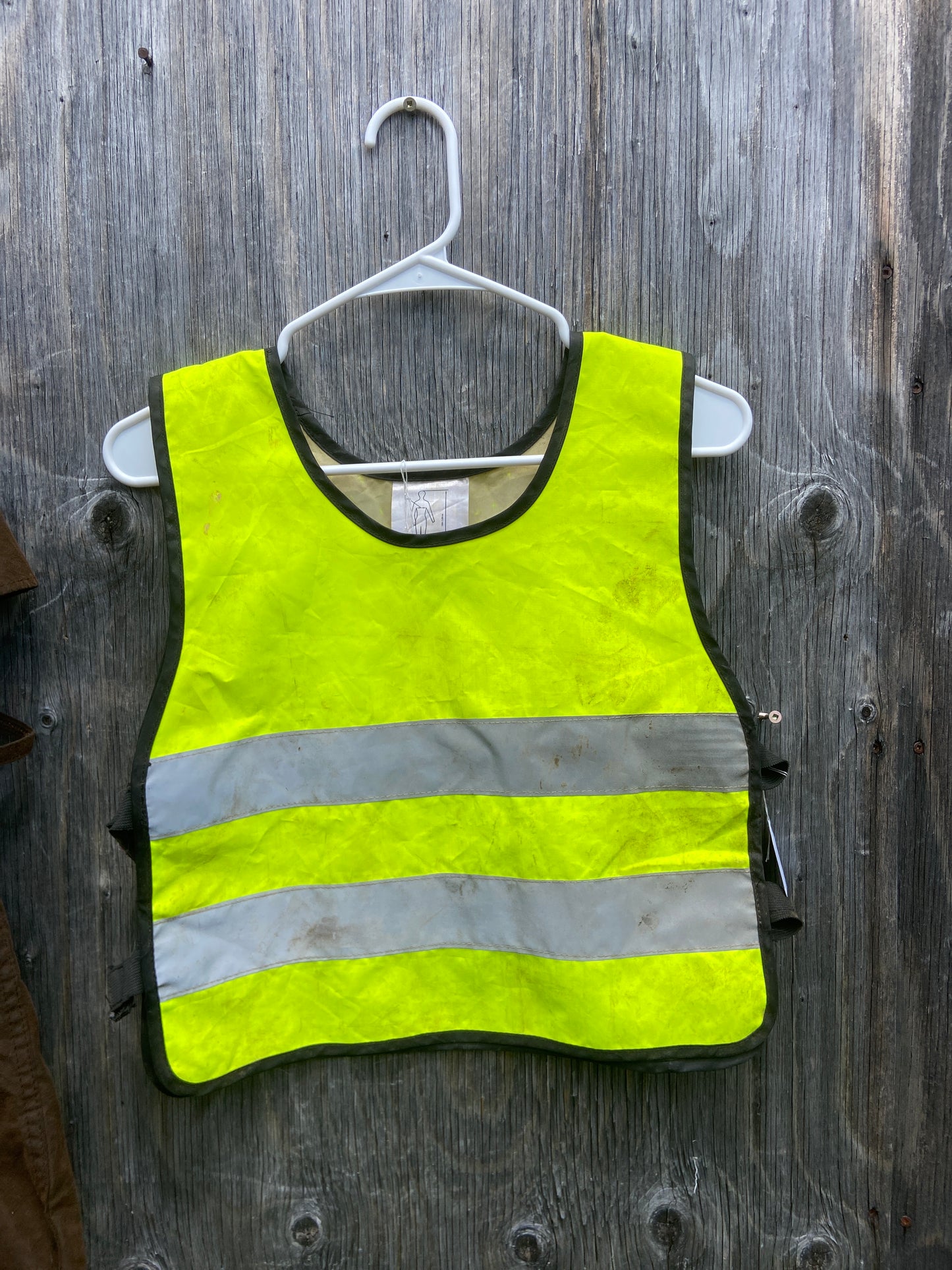 Caution horse and rider vest