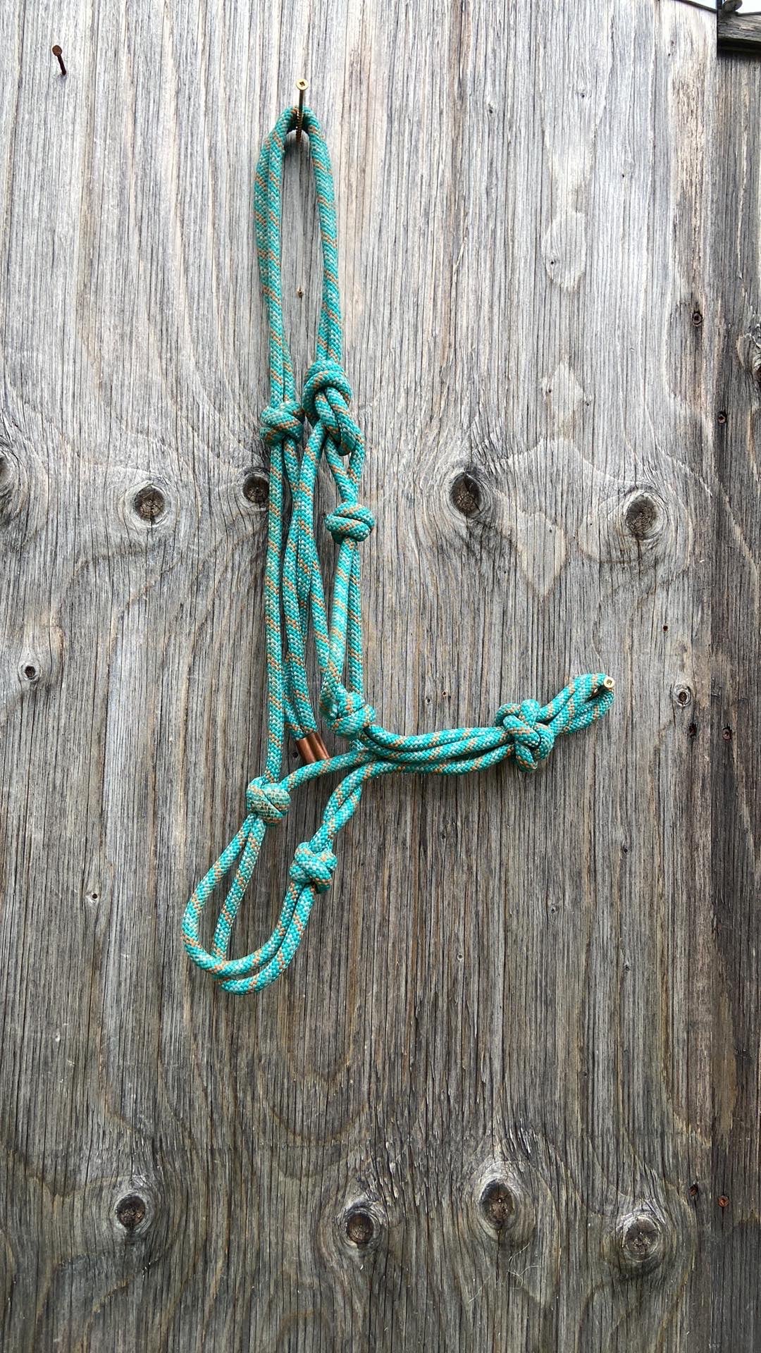 Turquoise rope halter