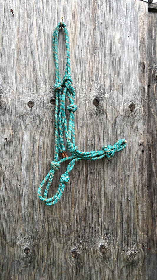 Turquoise rope halter