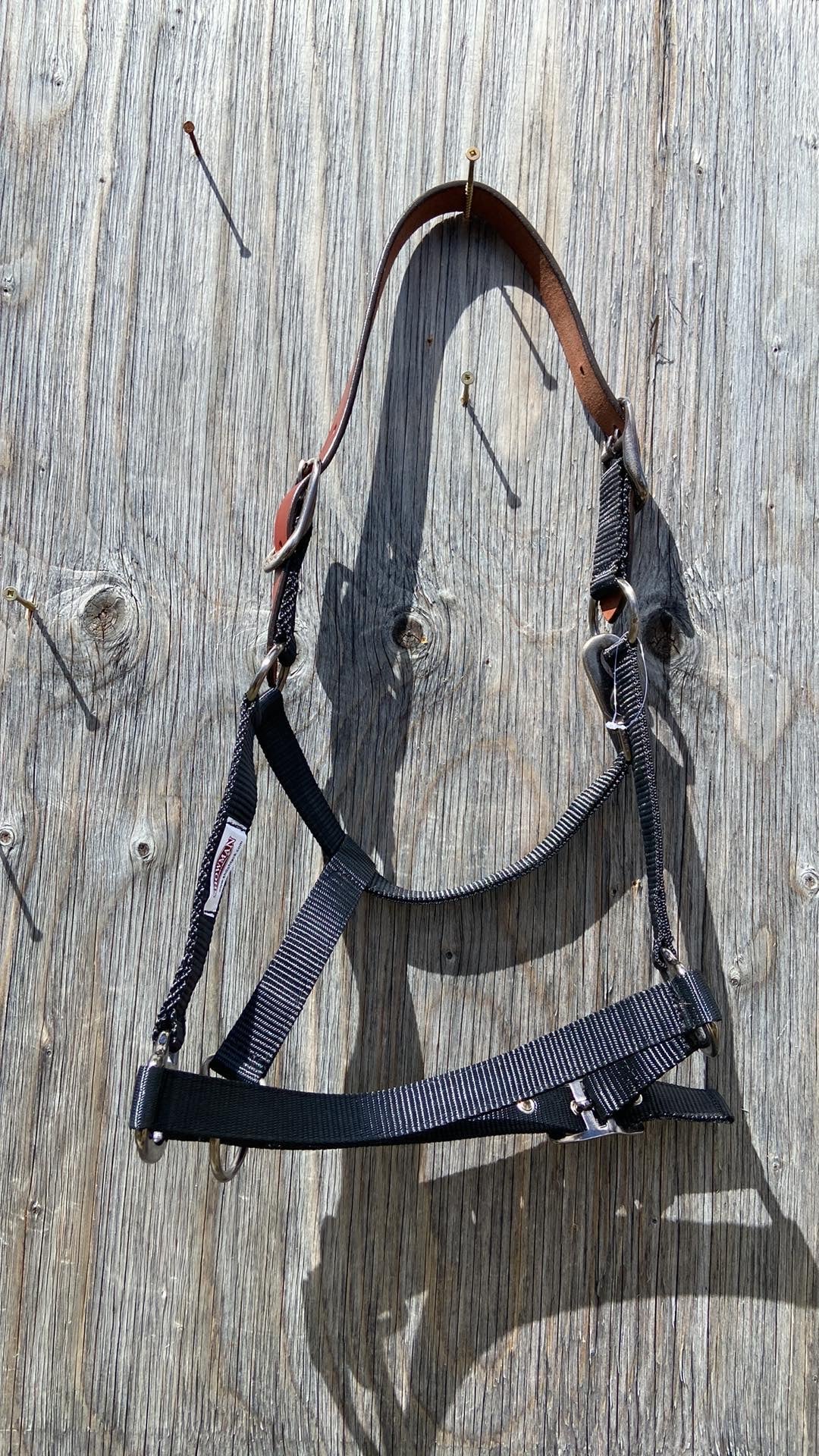 Breakaway halters 3 colours available