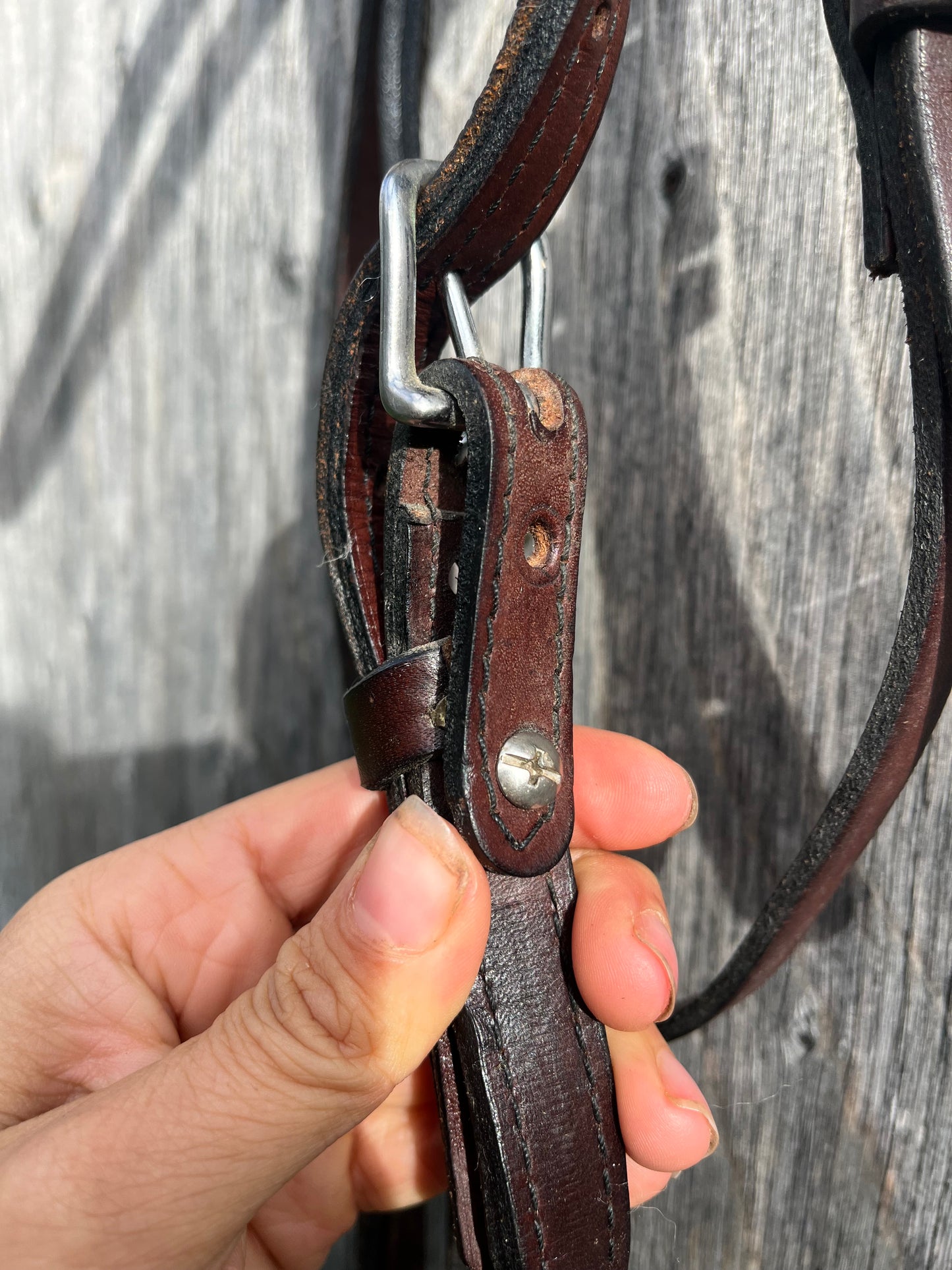 Draft leather headstall missing 1 rivet