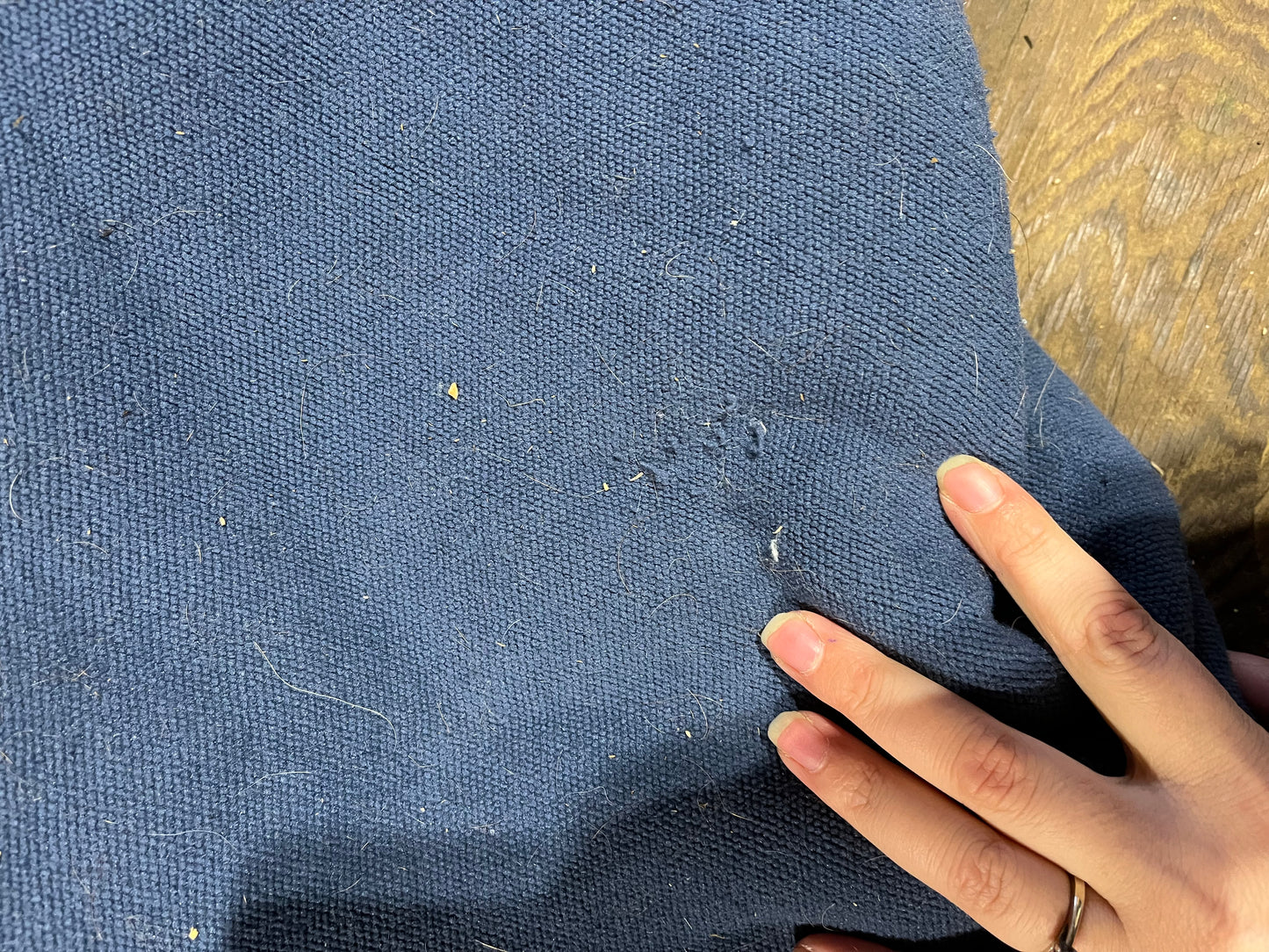 75” weatherbeeta Pearl fleece lined stable / show rug