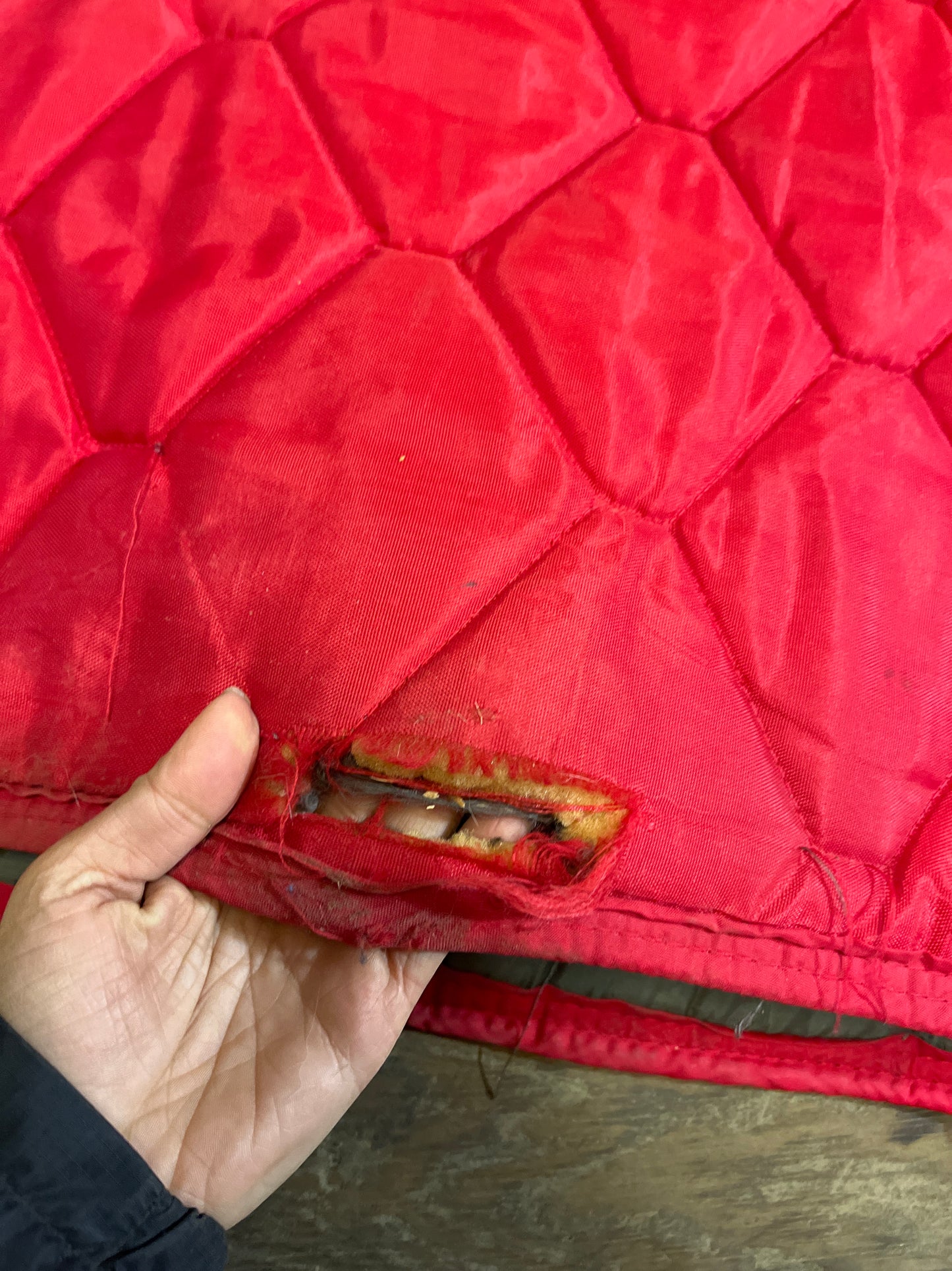 68” quilted winter stable