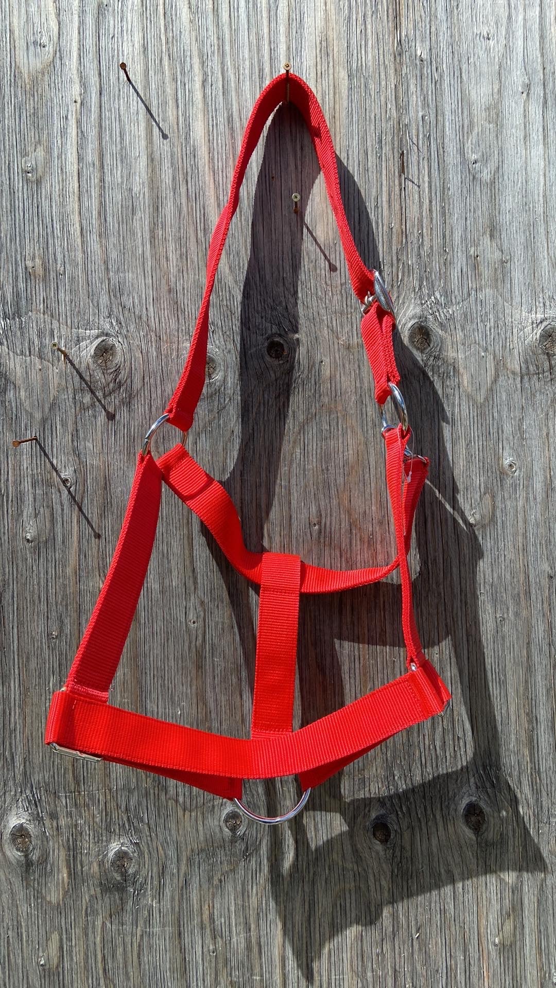 Draft halters 4 colours