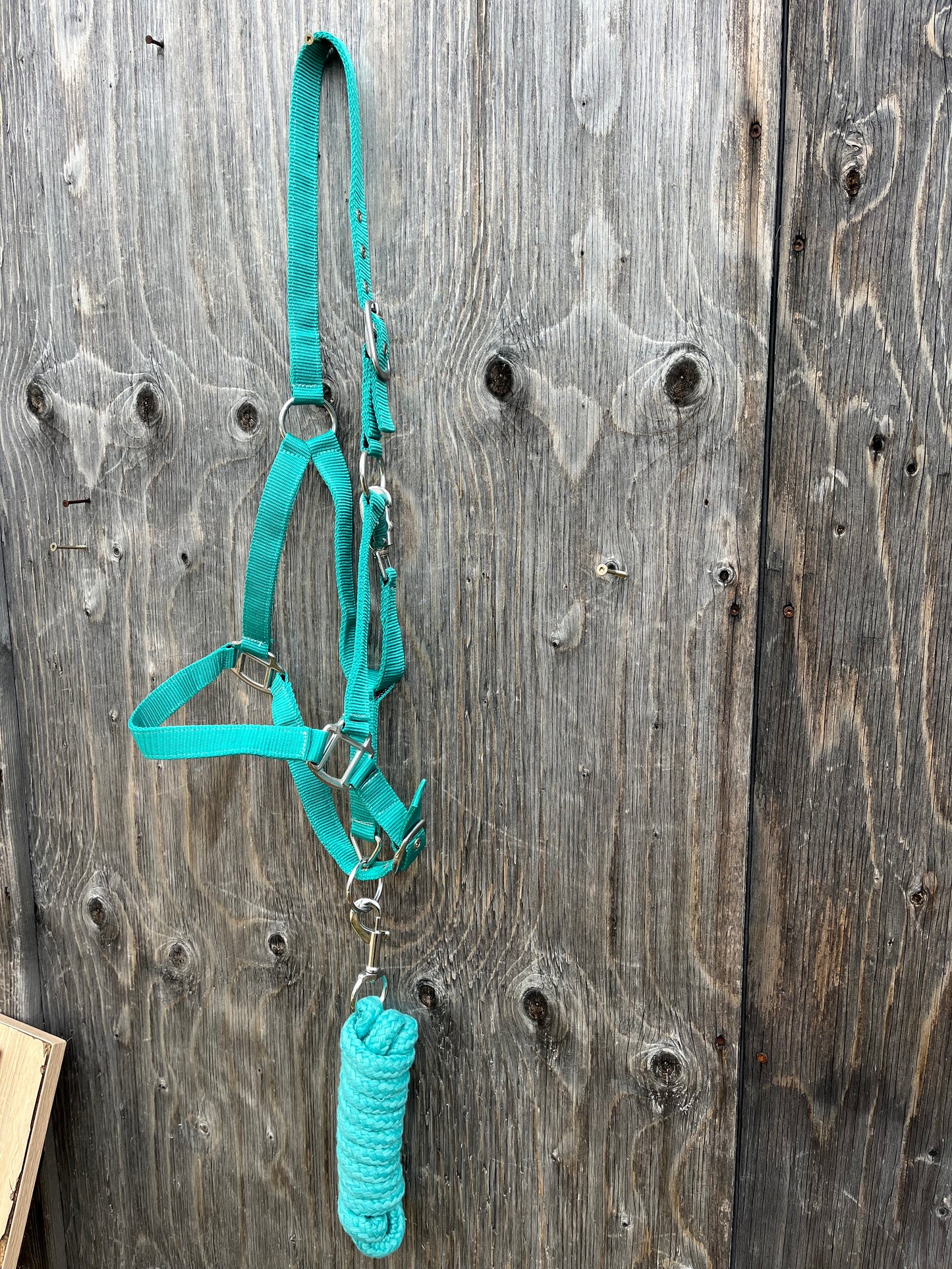 Teal halter and lead set
