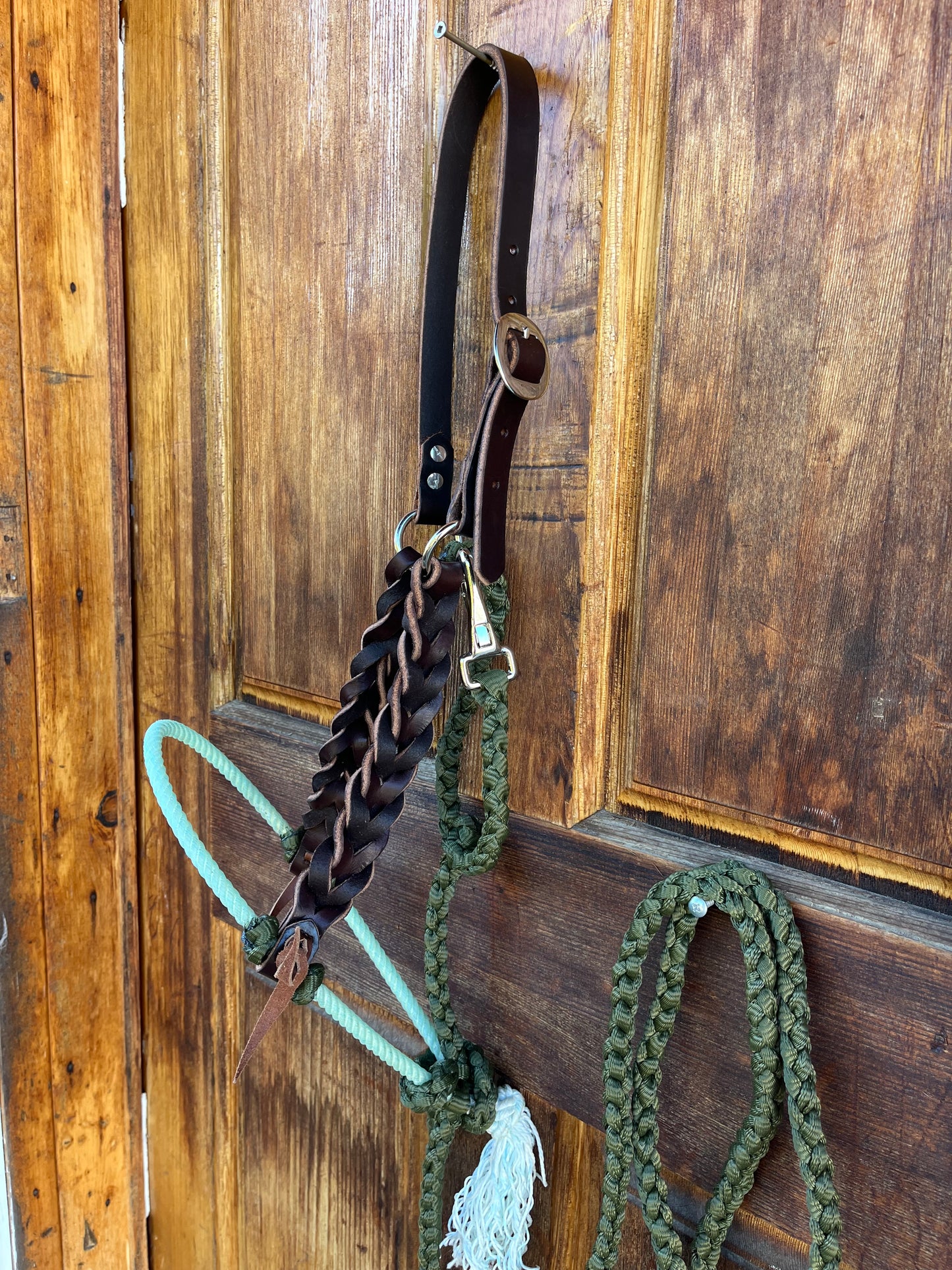 Olive & Mint Lariat nose halter set with muletape matching lead, leather braided cheeks.