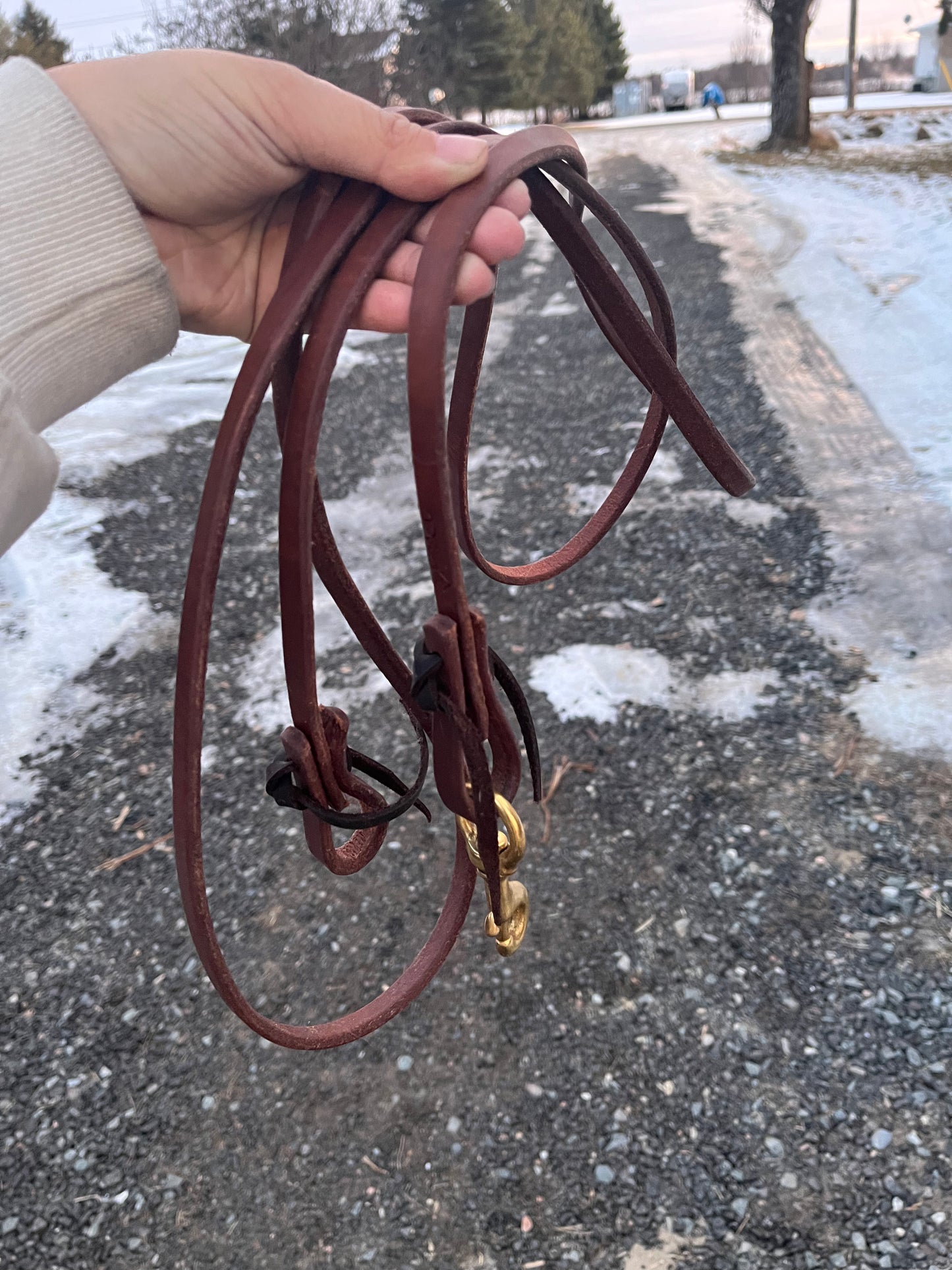 Dutton 1/2” barrel reins