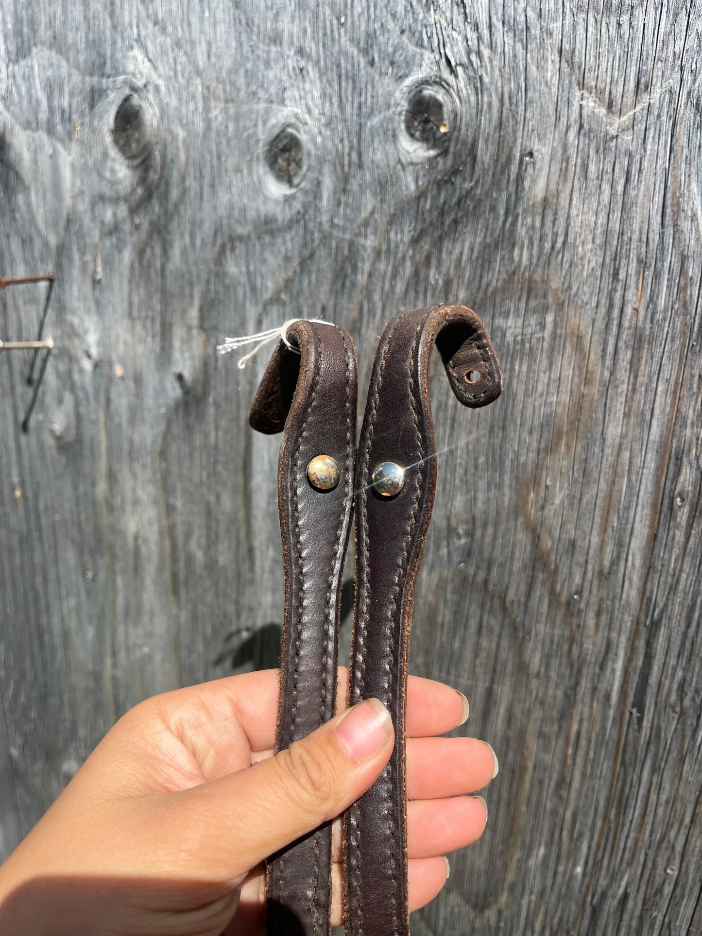 Billy cook split reins