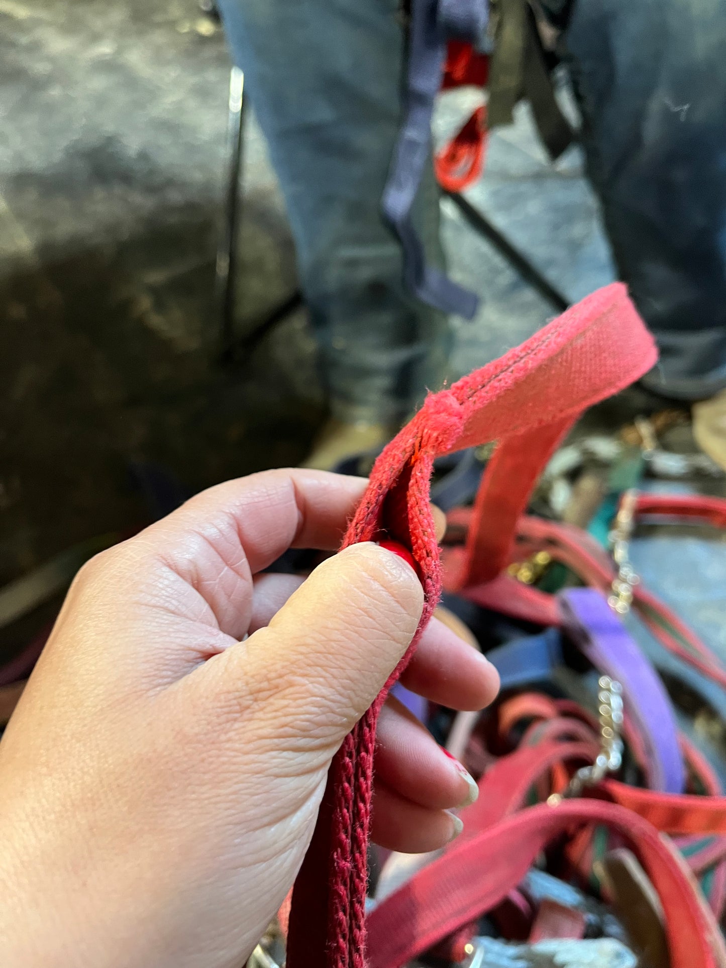 Red nylon lead with chain