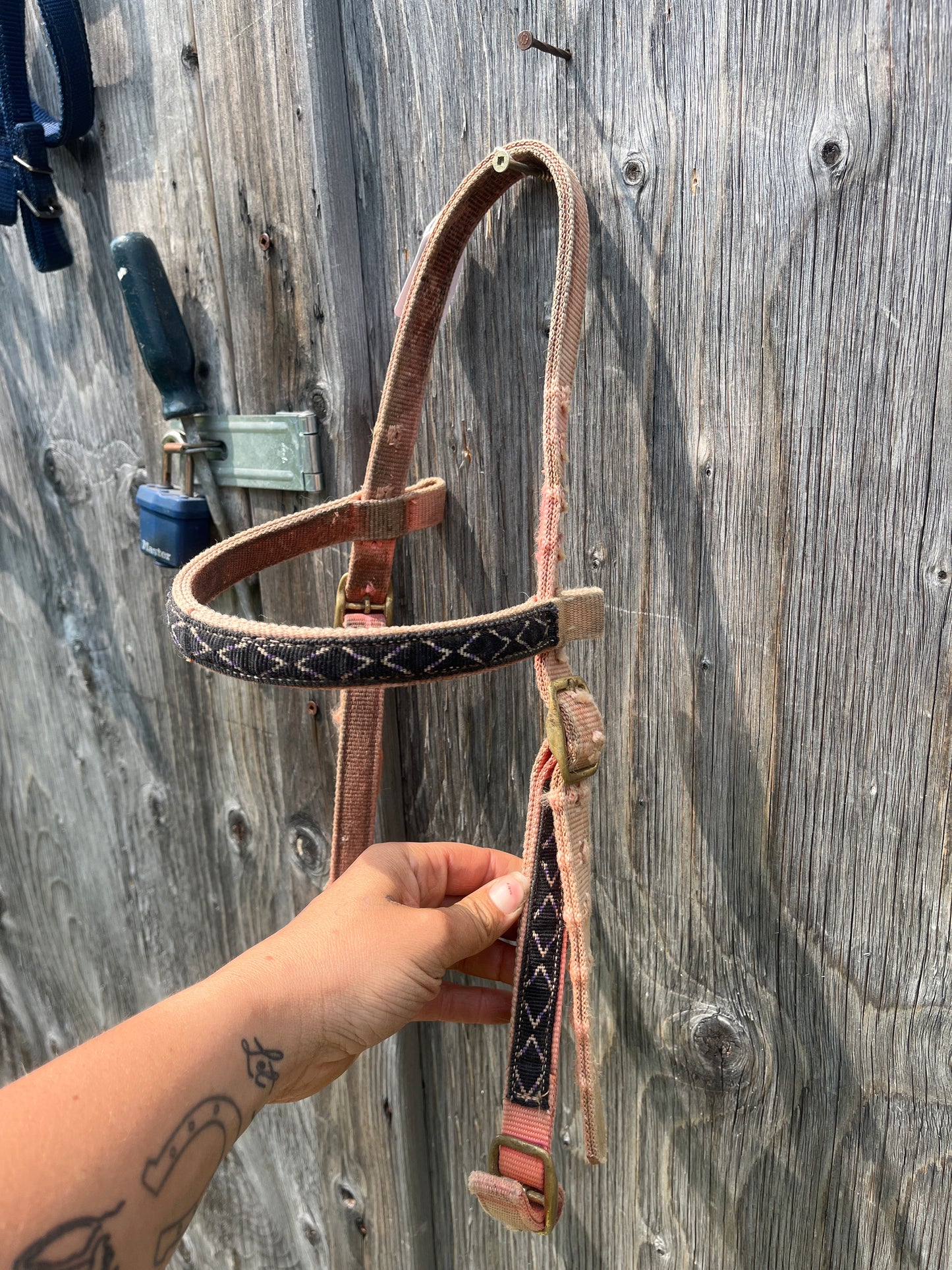 Used bridle no throat latch