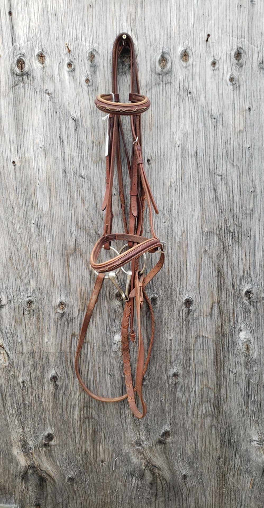 Paris fancy stitched bridle with bit and reins