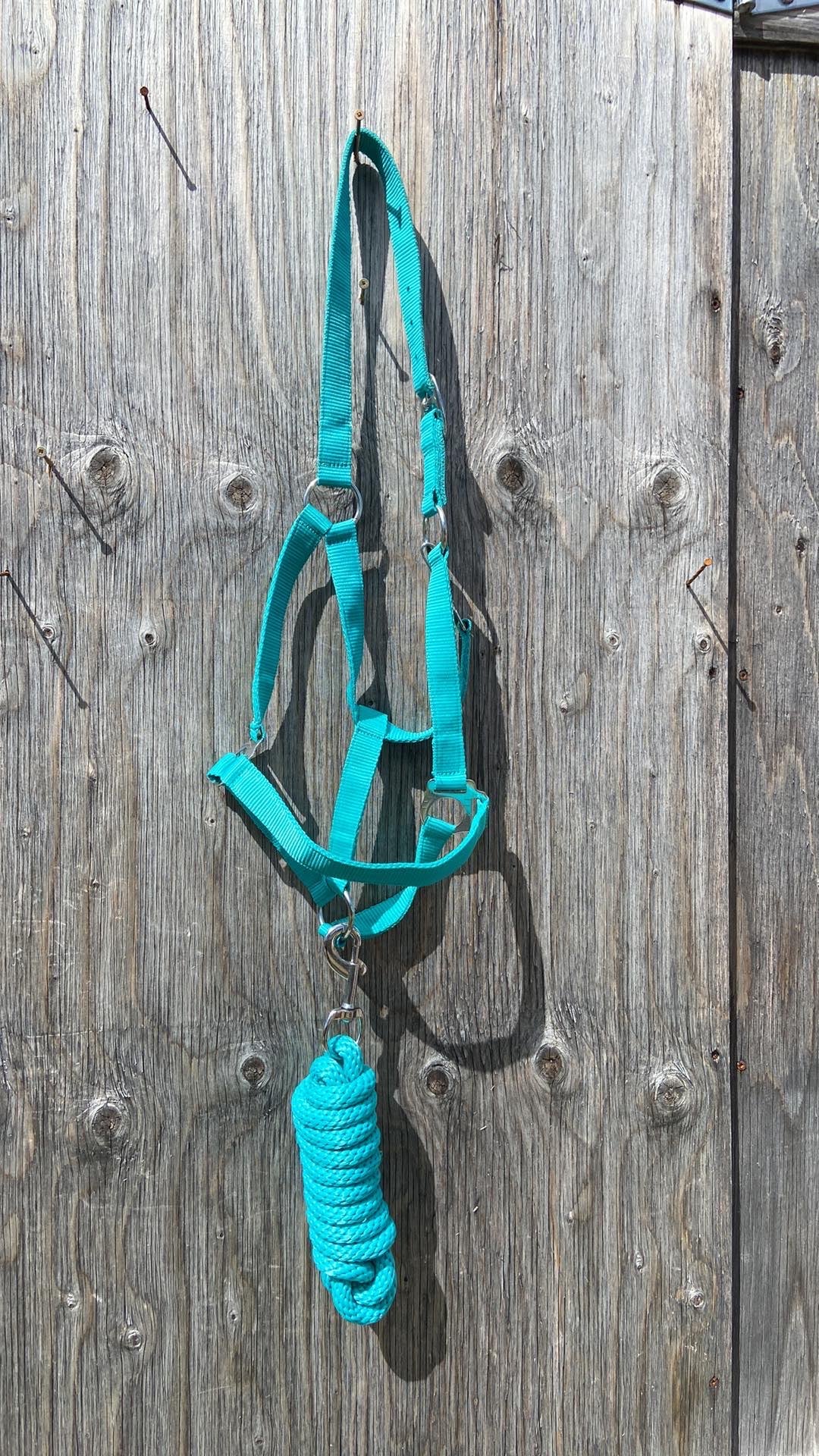 Halters with matching lead 2 colours