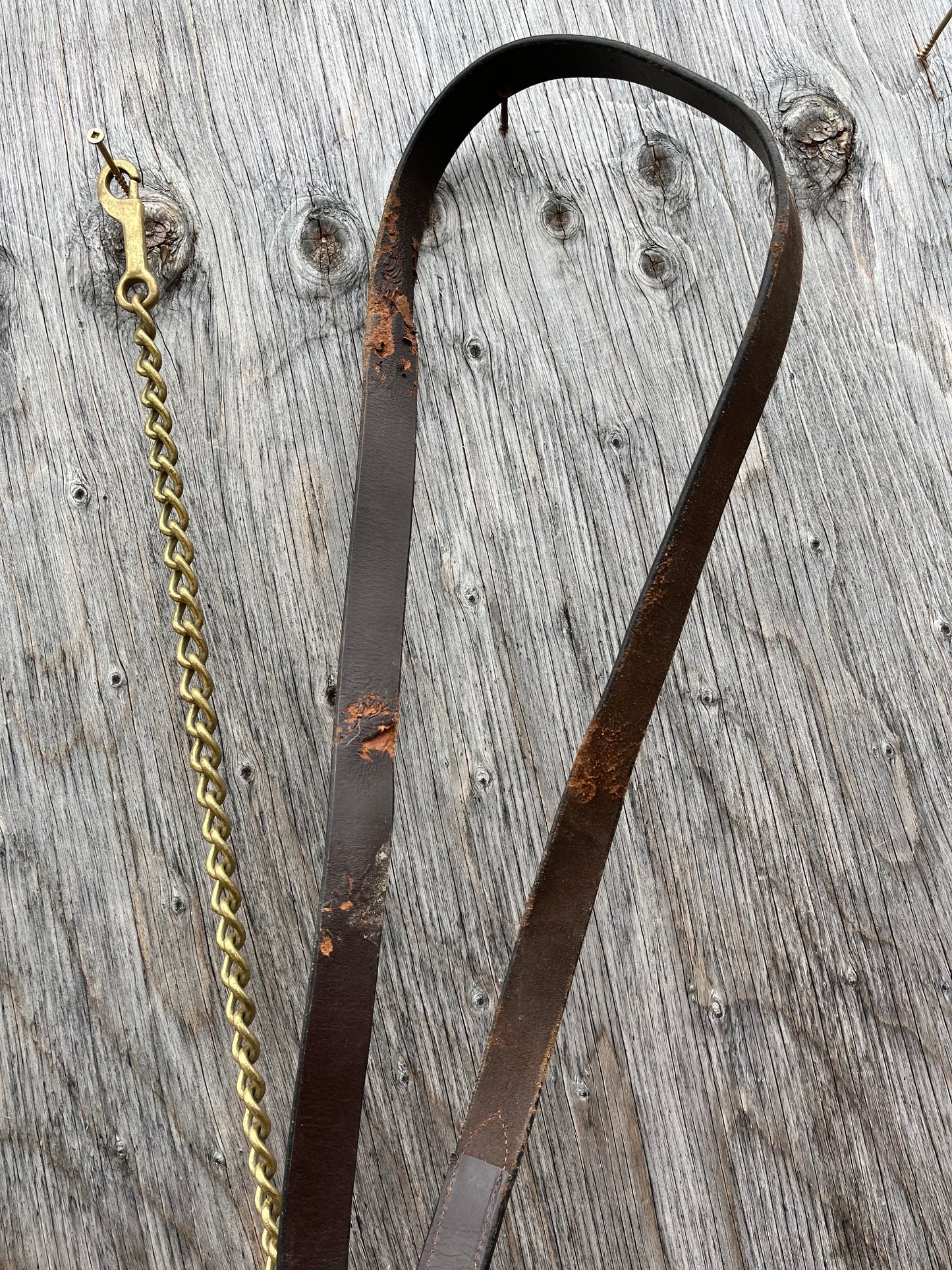 Leather lead with brass chain
