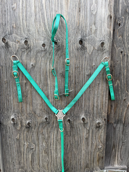 Teal nylon tack set