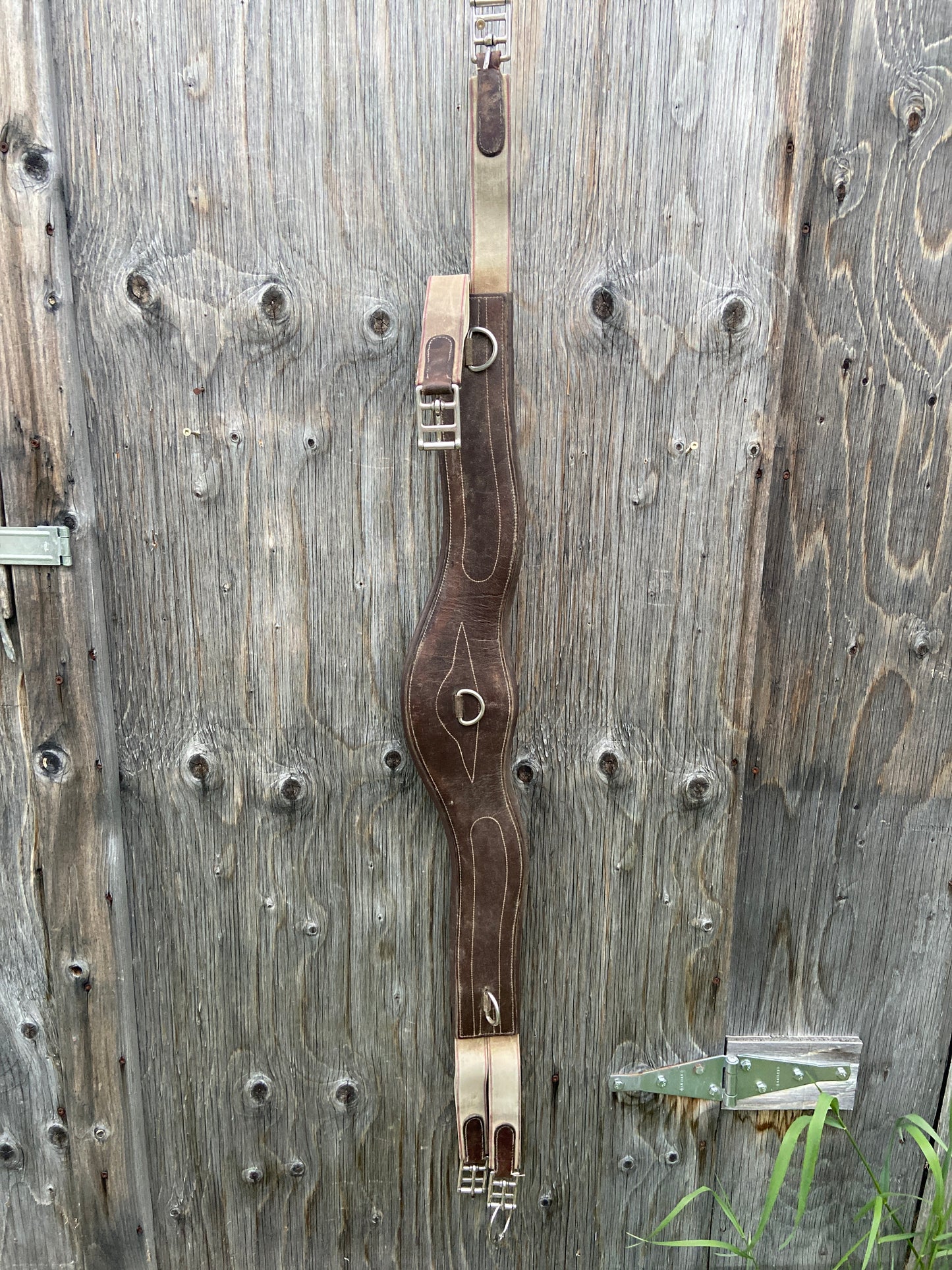 50” anatomical leather girth