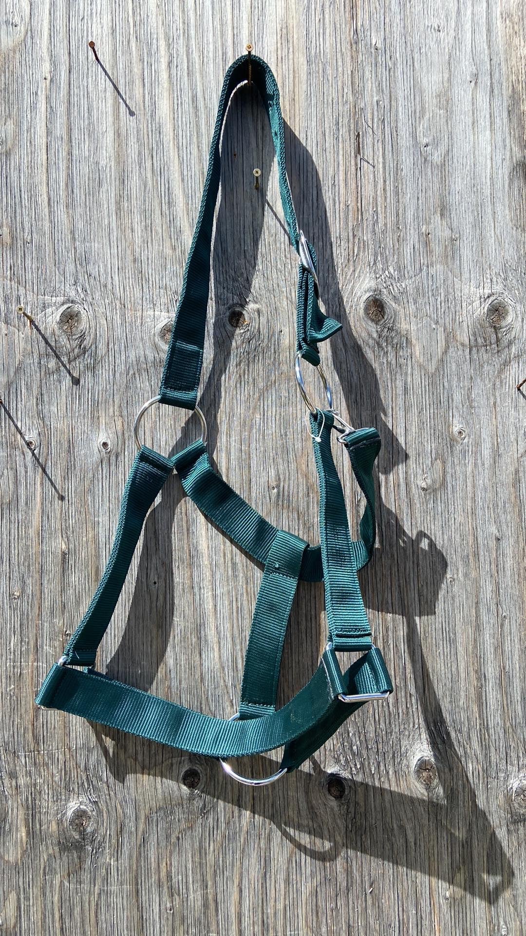 Draft halters 4 colours