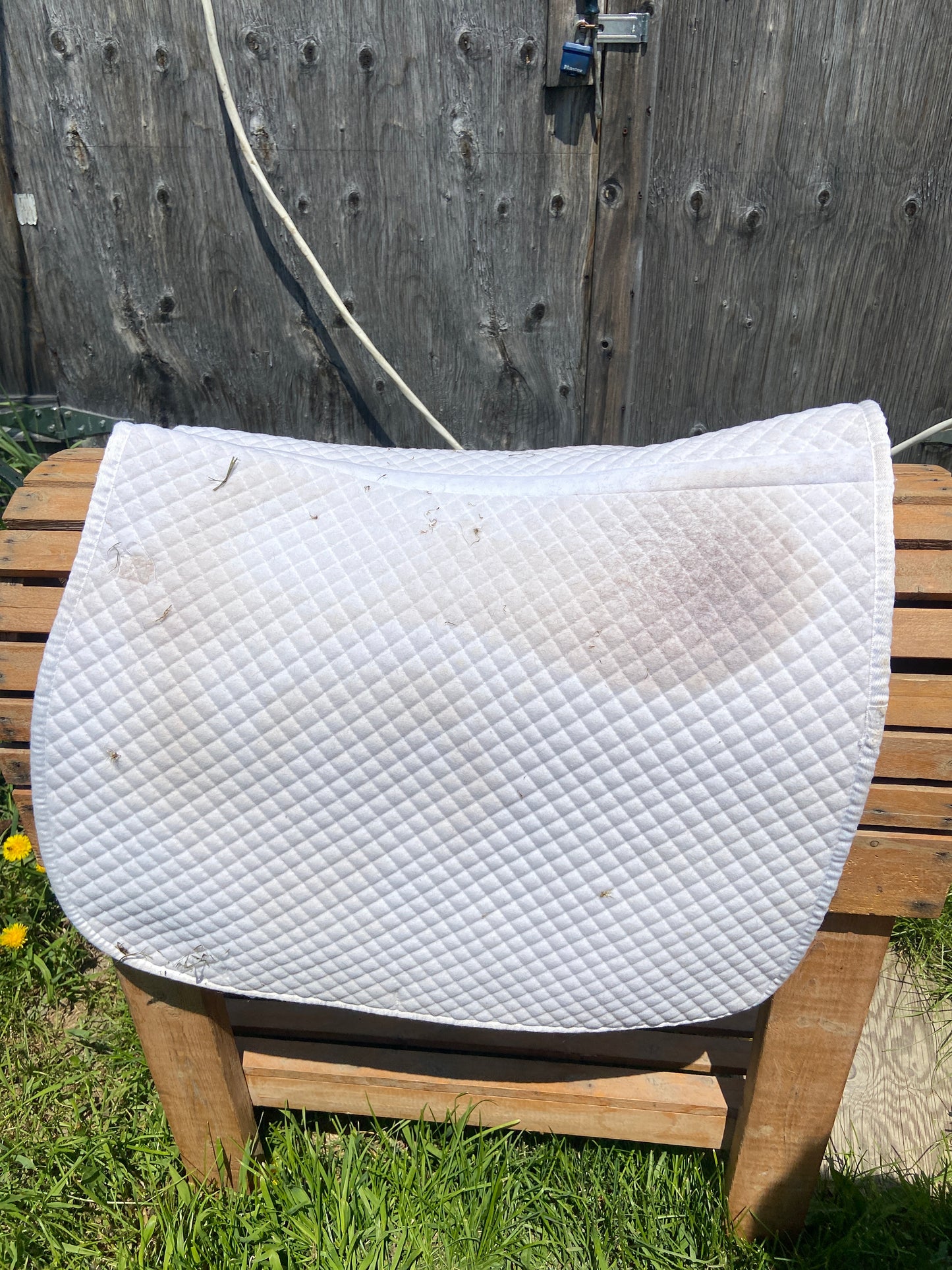 Waldhausen full pad