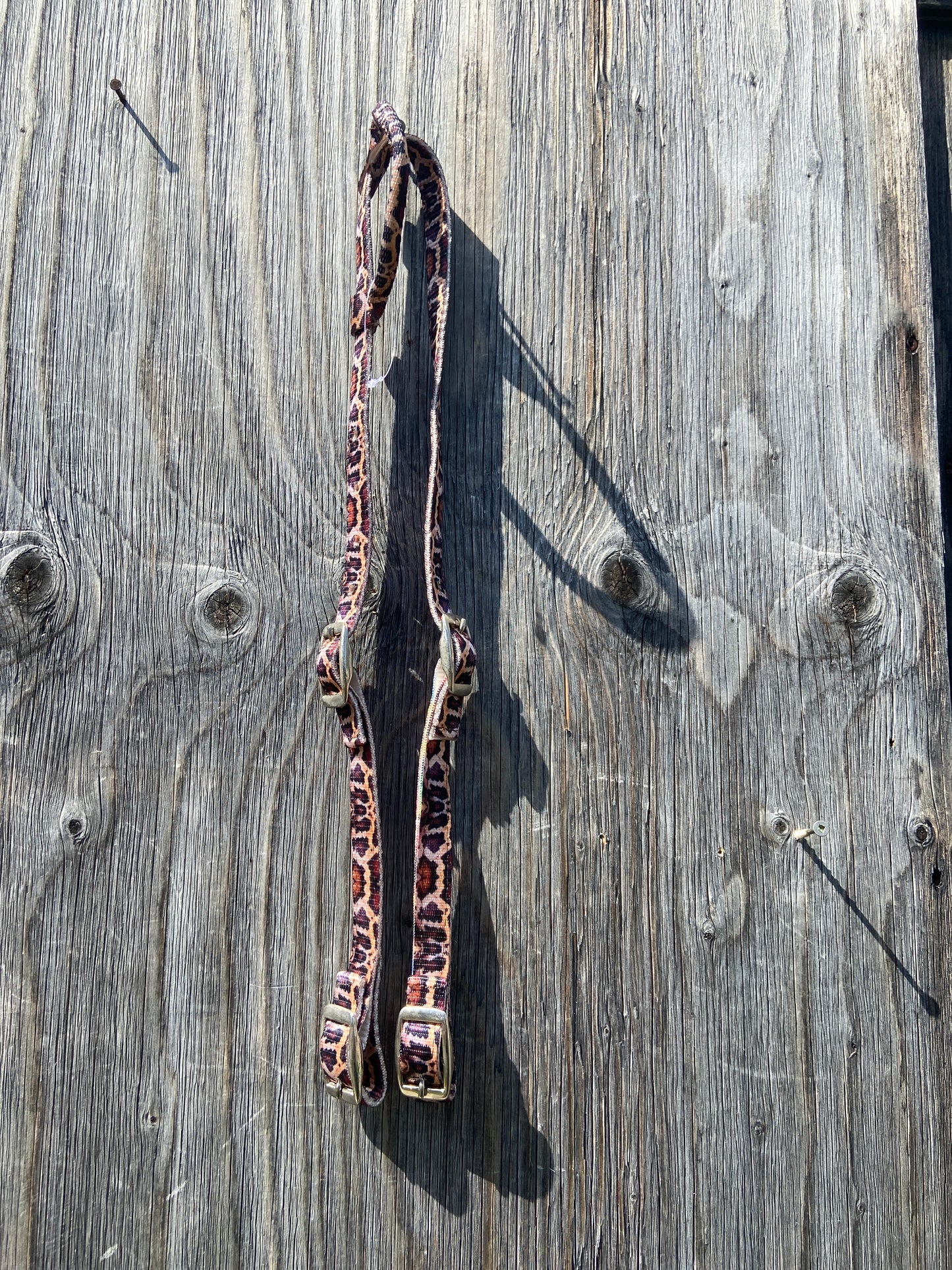 Black python print nylon one ear