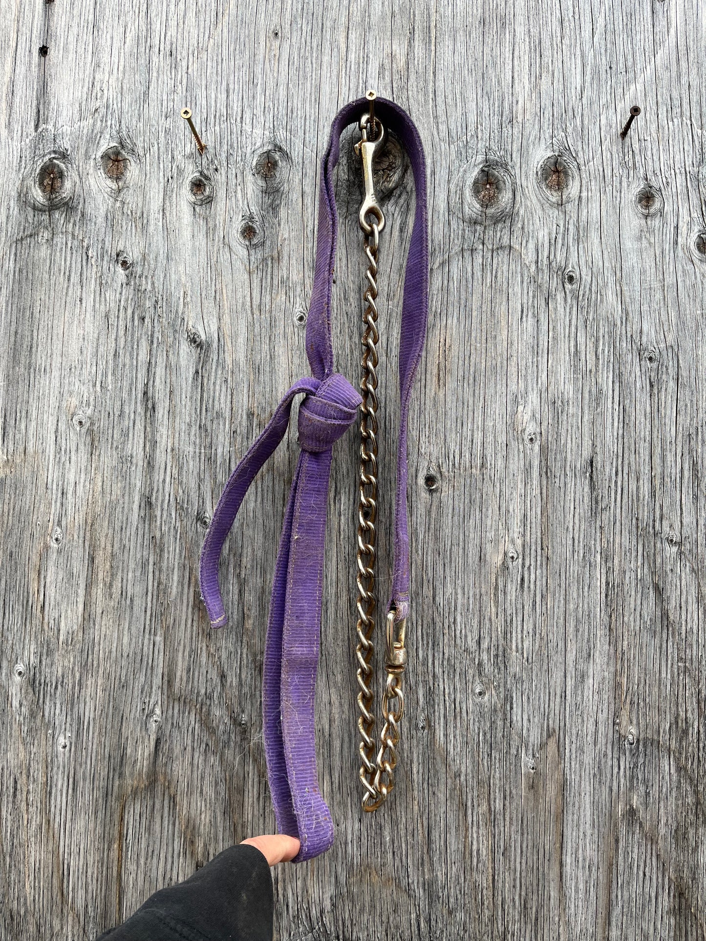 Purple nylon lead with chain