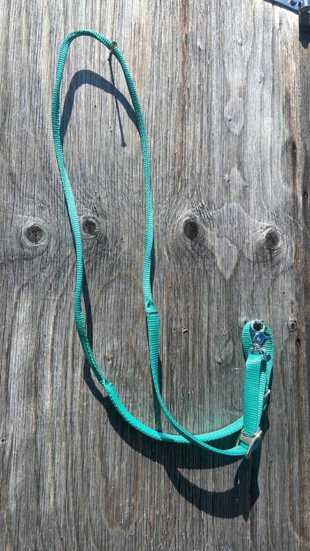 Teal pony youth barrel rein