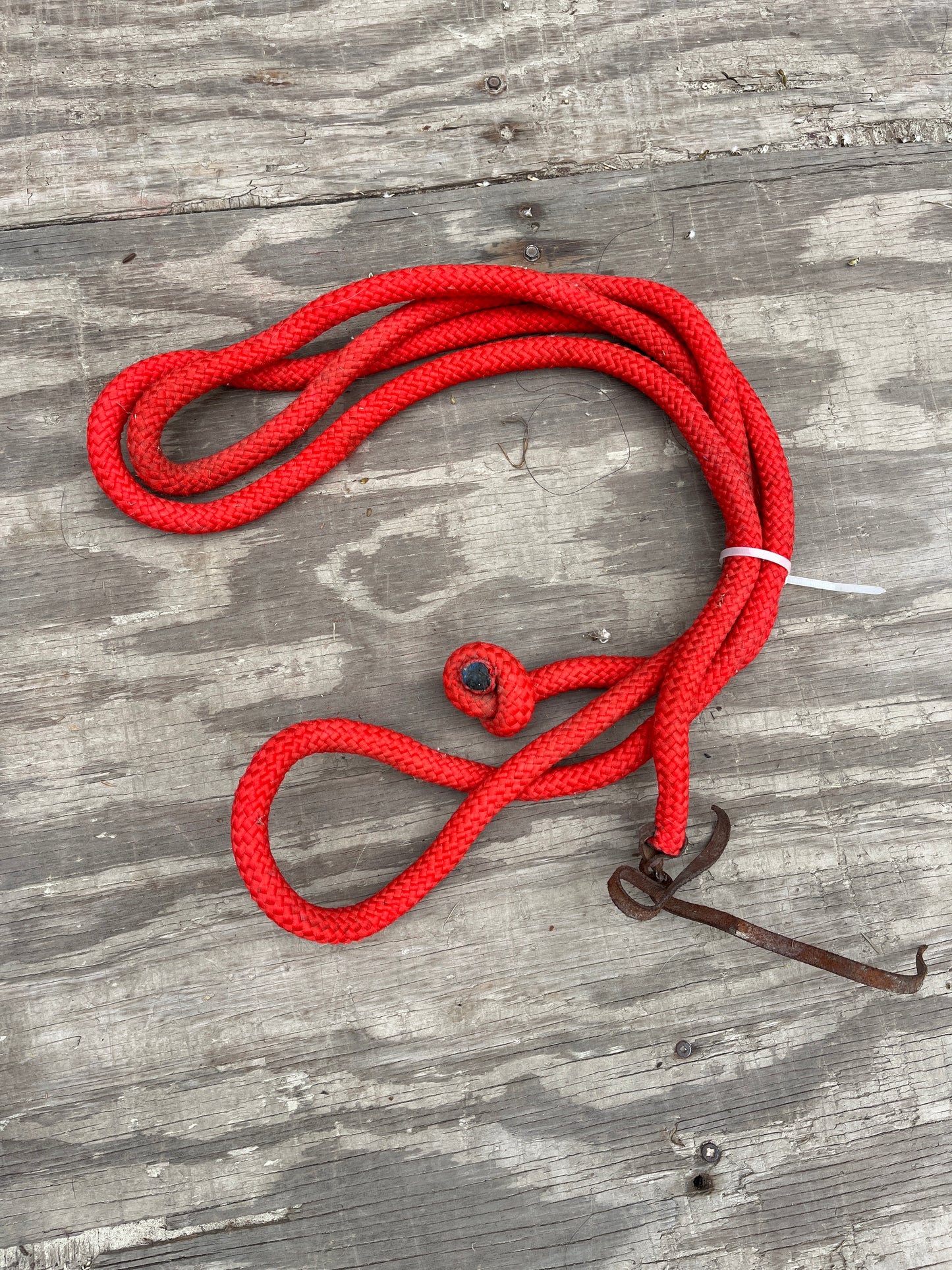 Tie on rope halter style lead