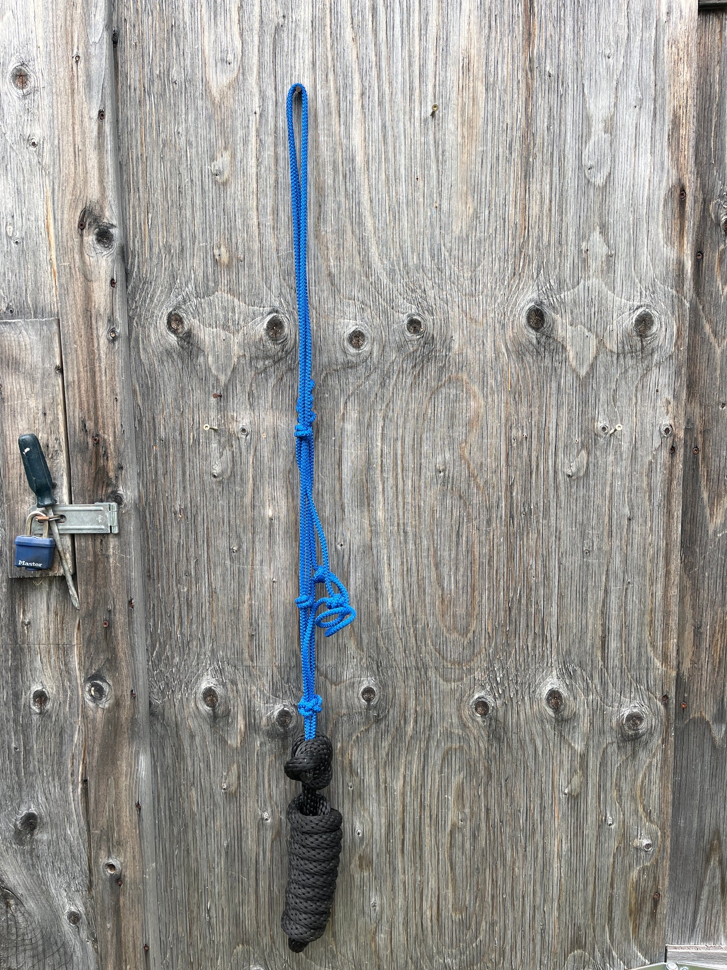 Rope halter and lead
