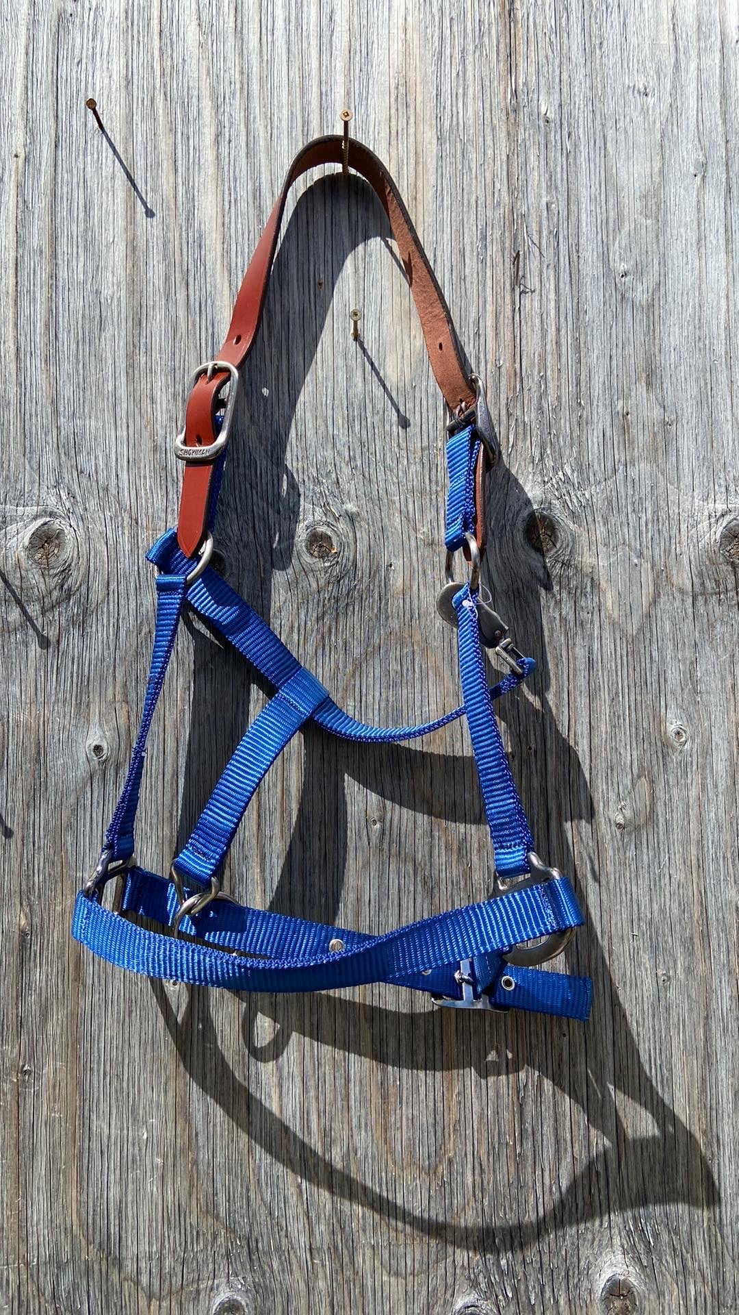 Breakaway halters 3 colours available