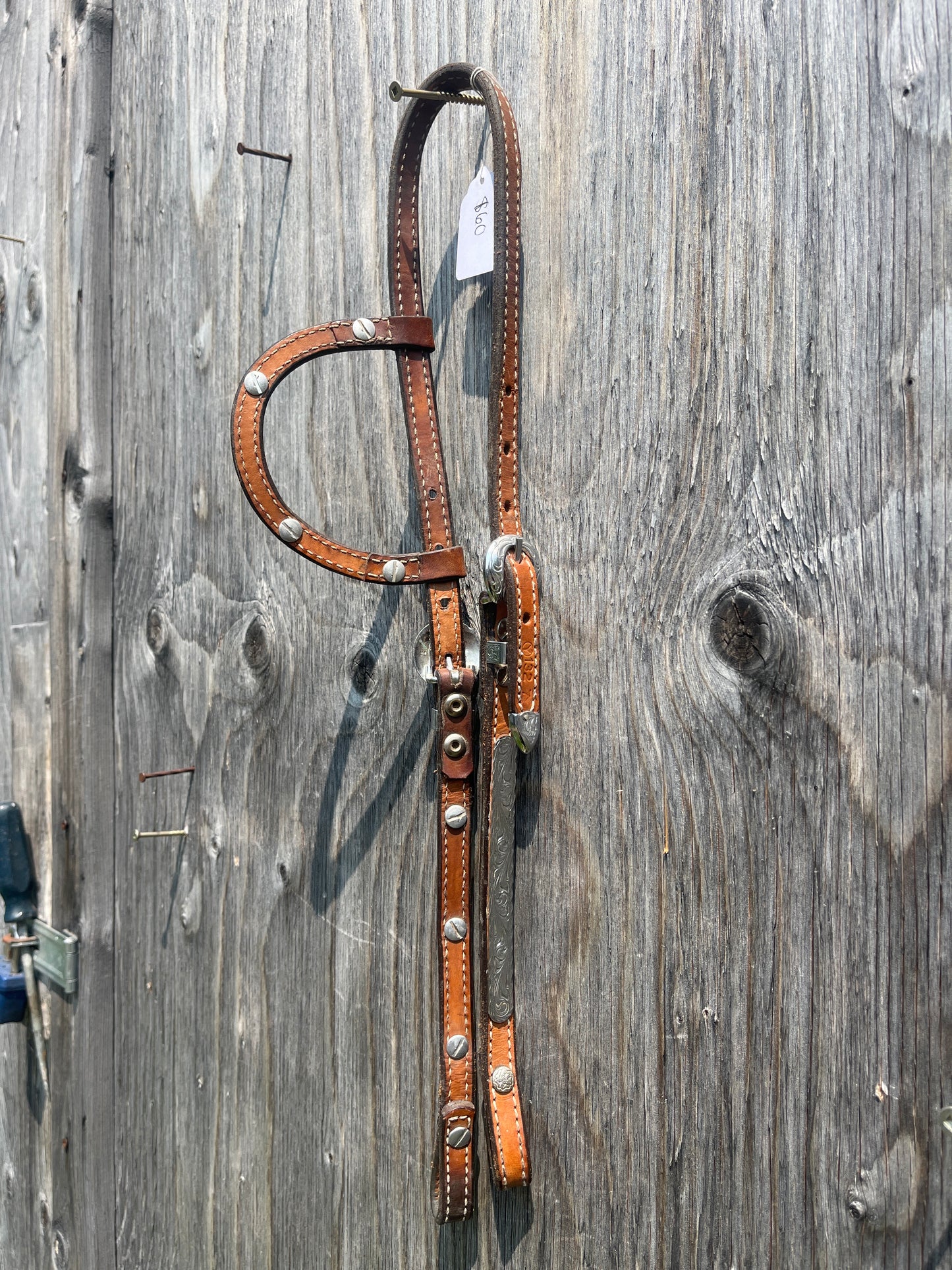 Circle y show headstall