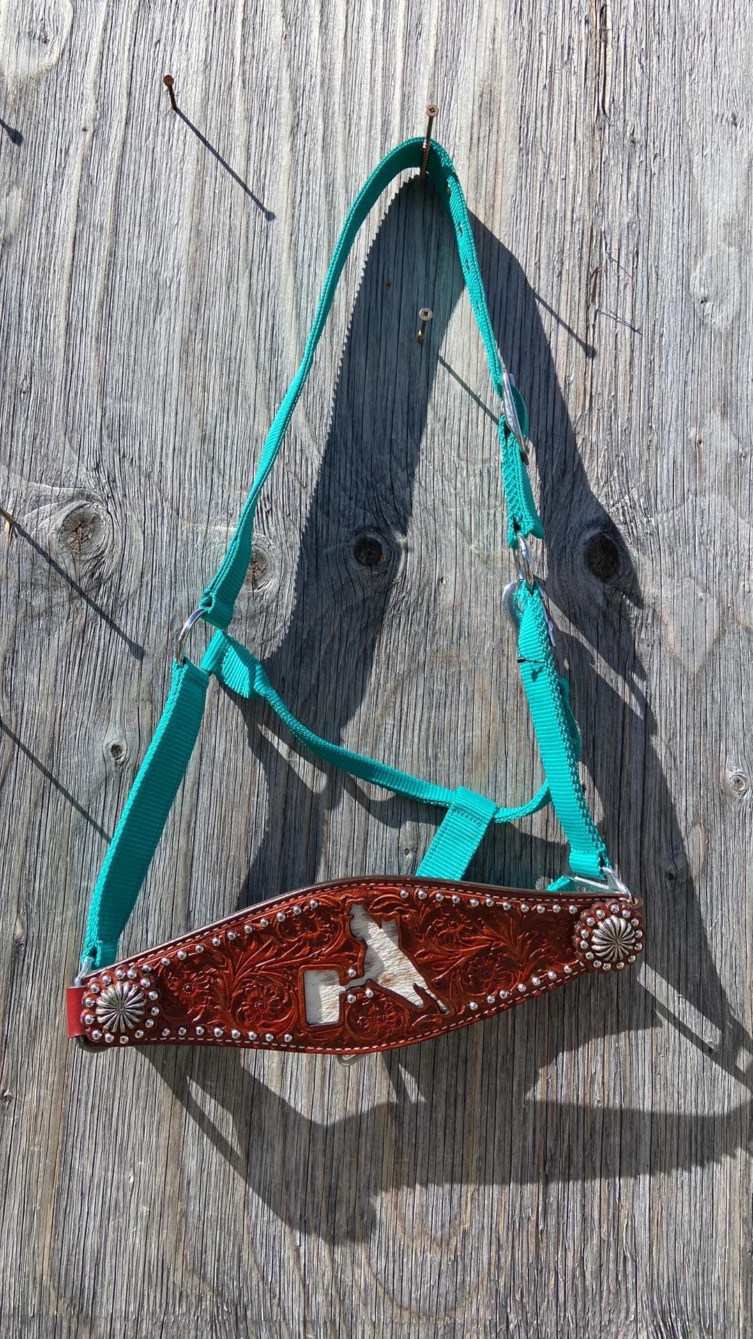 Barrel racer bronc halters with cowhide