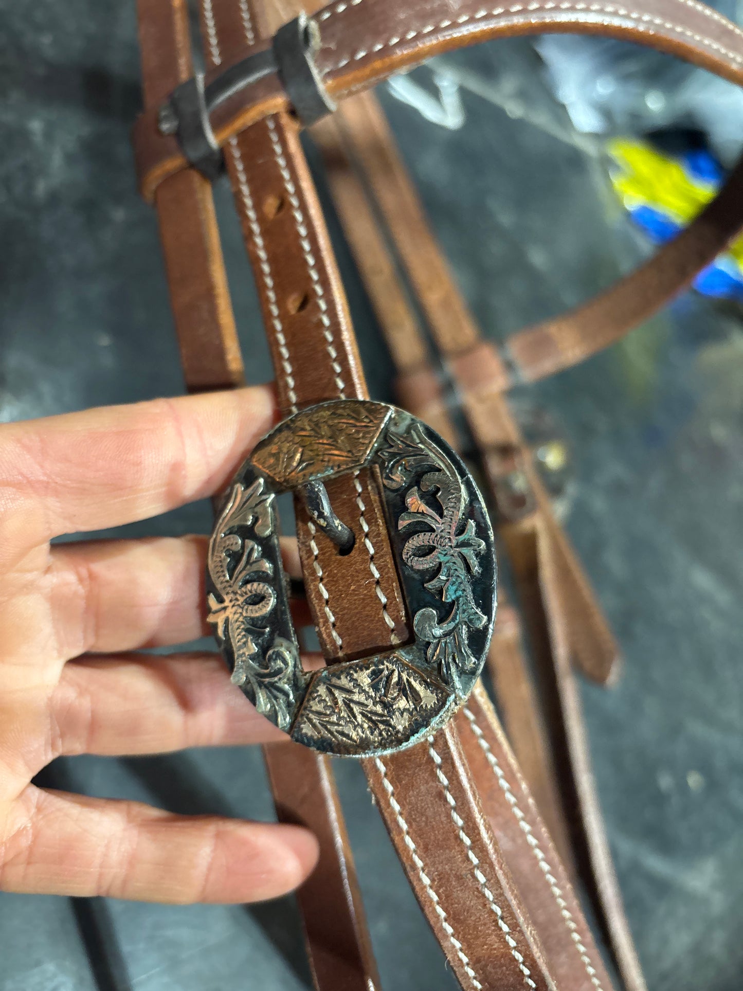 Brownband head stall