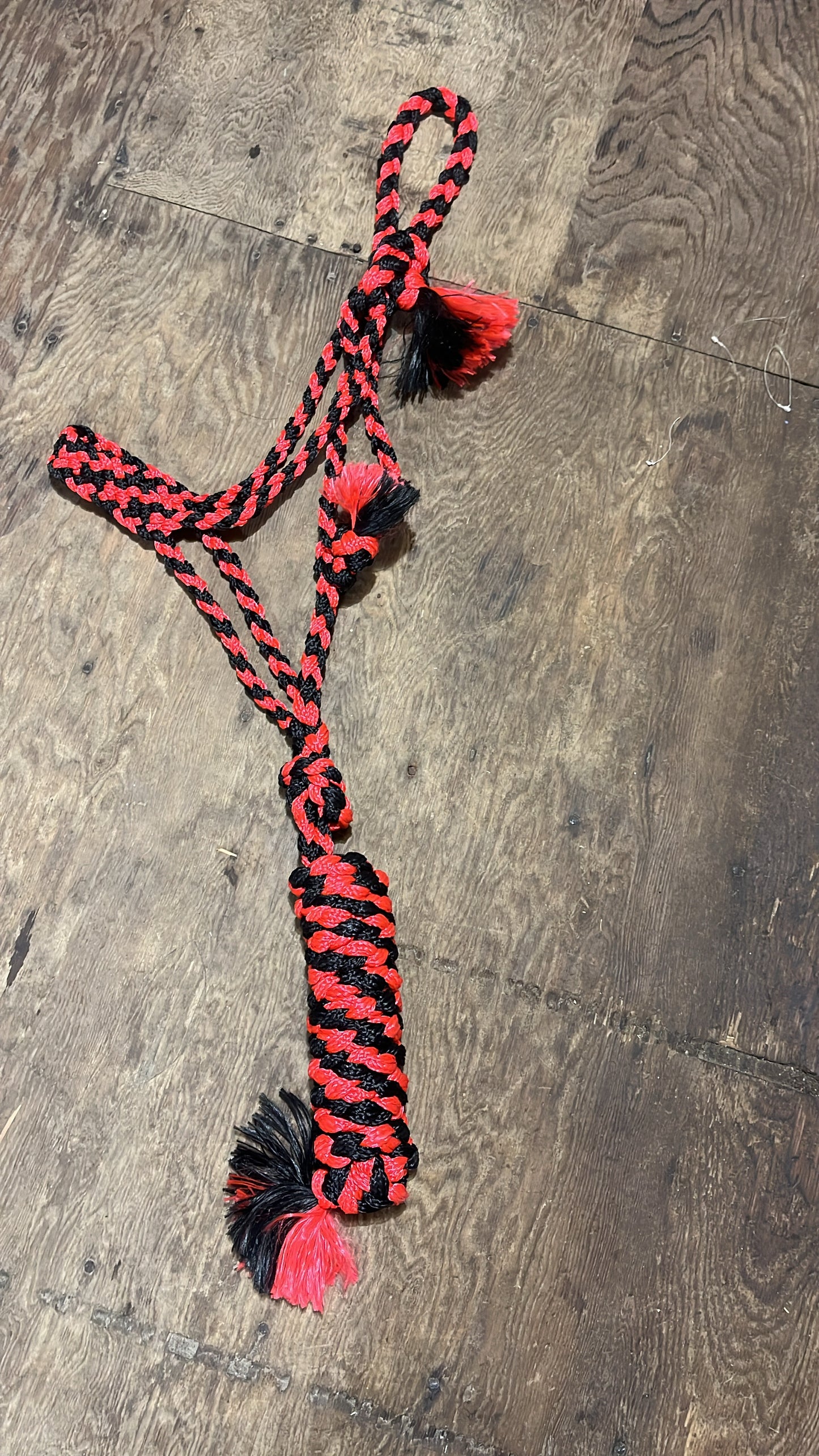 Red and black Muletape halter with lead