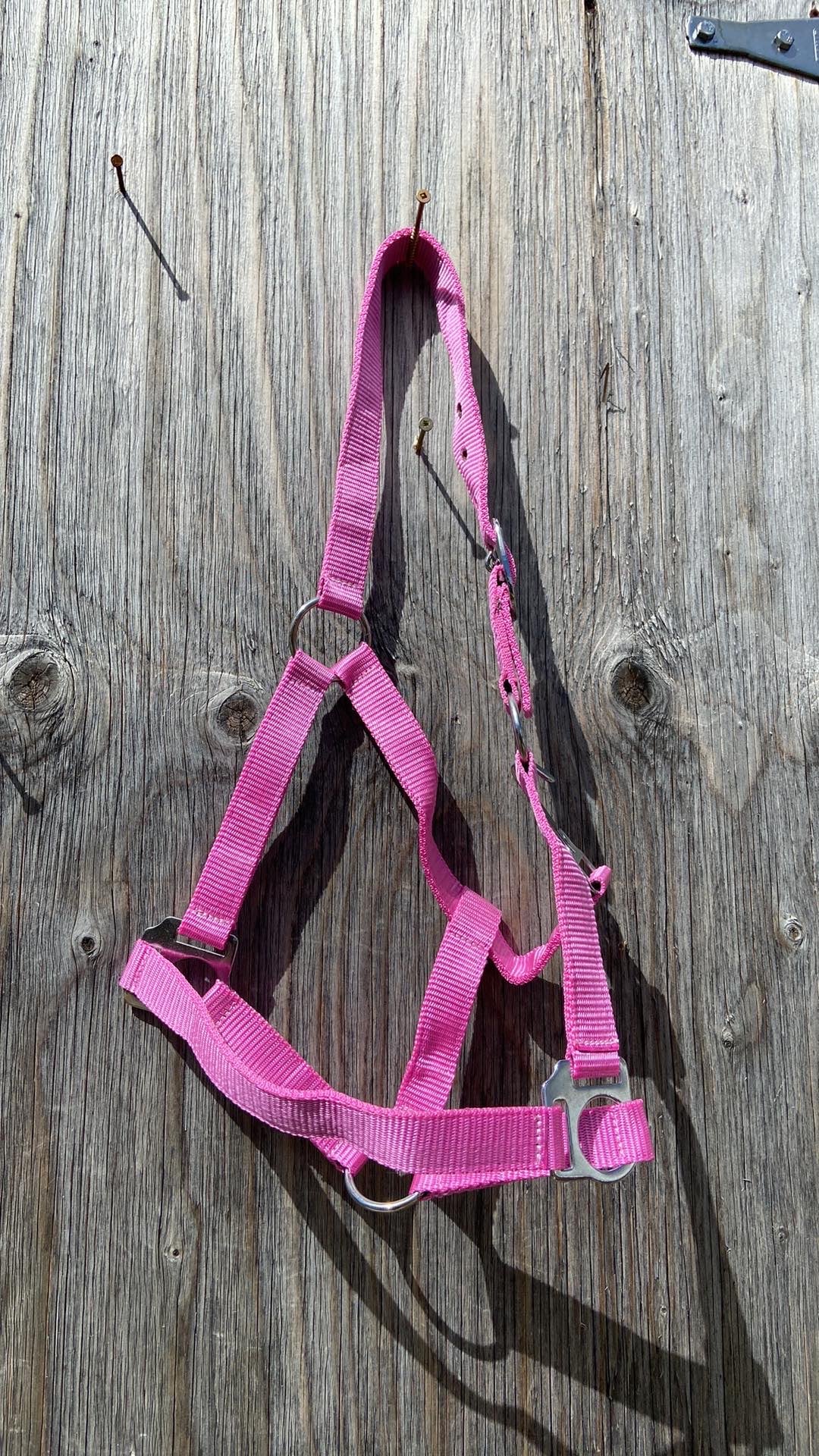 Pony halters 2 colors