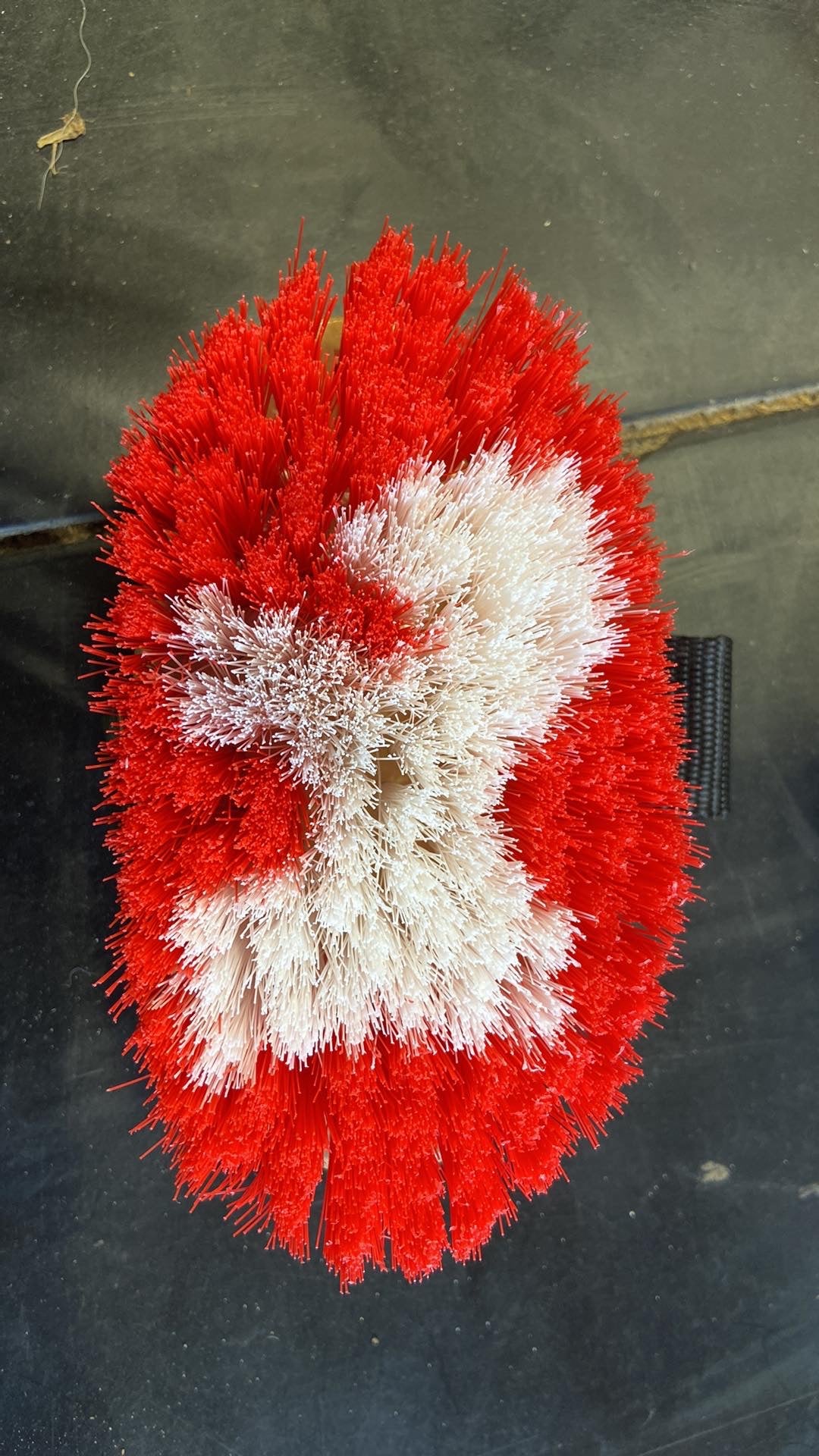 Junior horse decal body brush