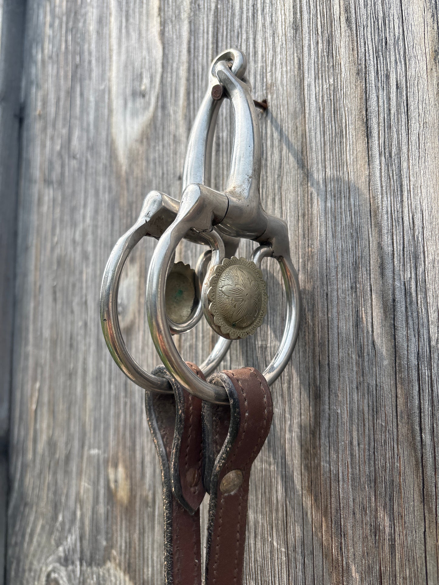 Reins with snaffle
