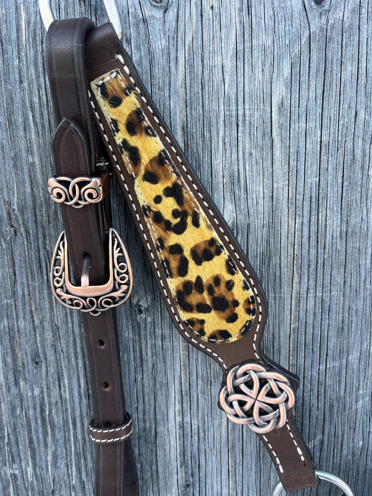 Cheetah cross brow band gladiator tack set