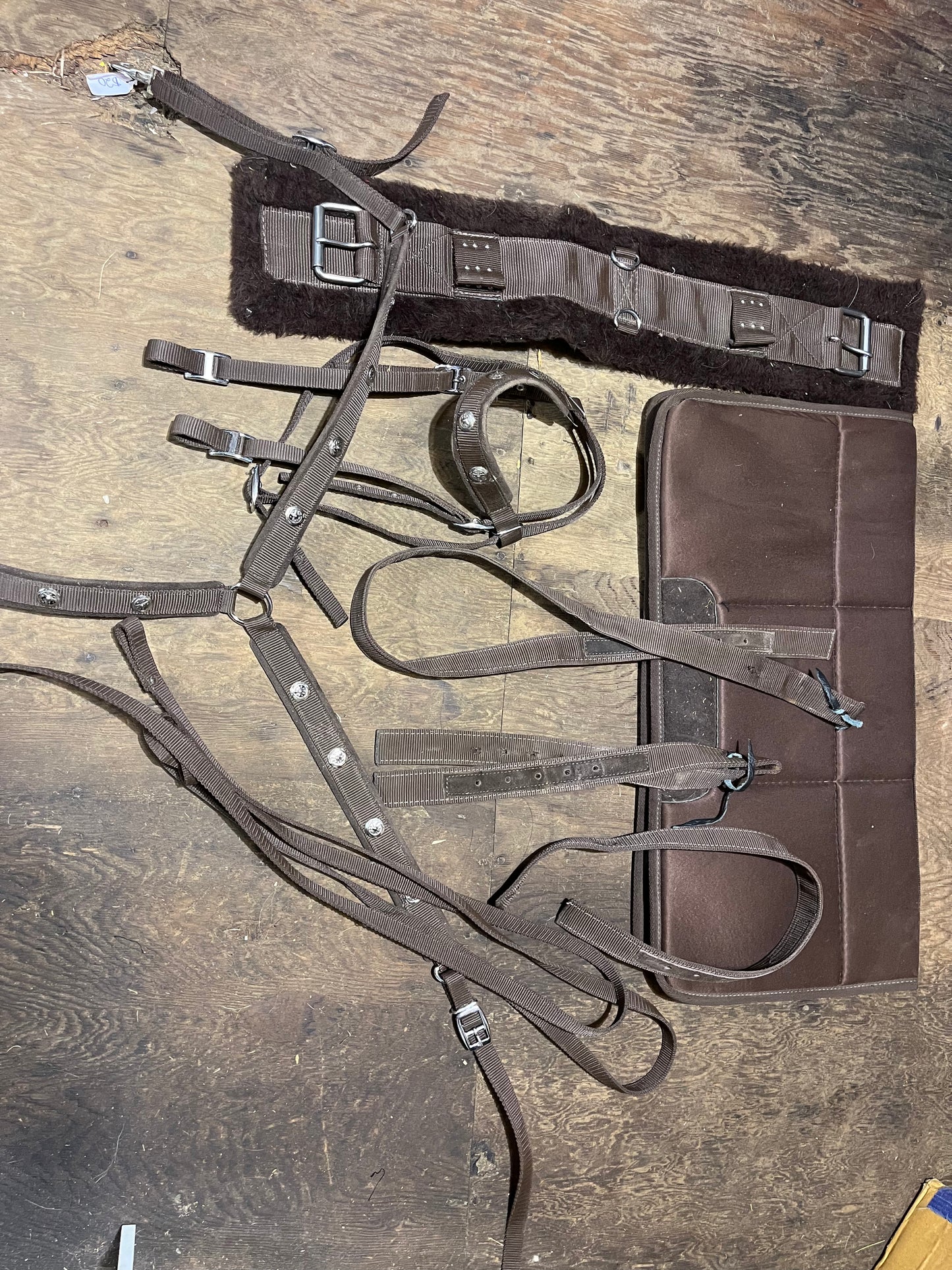 Used full package horse size