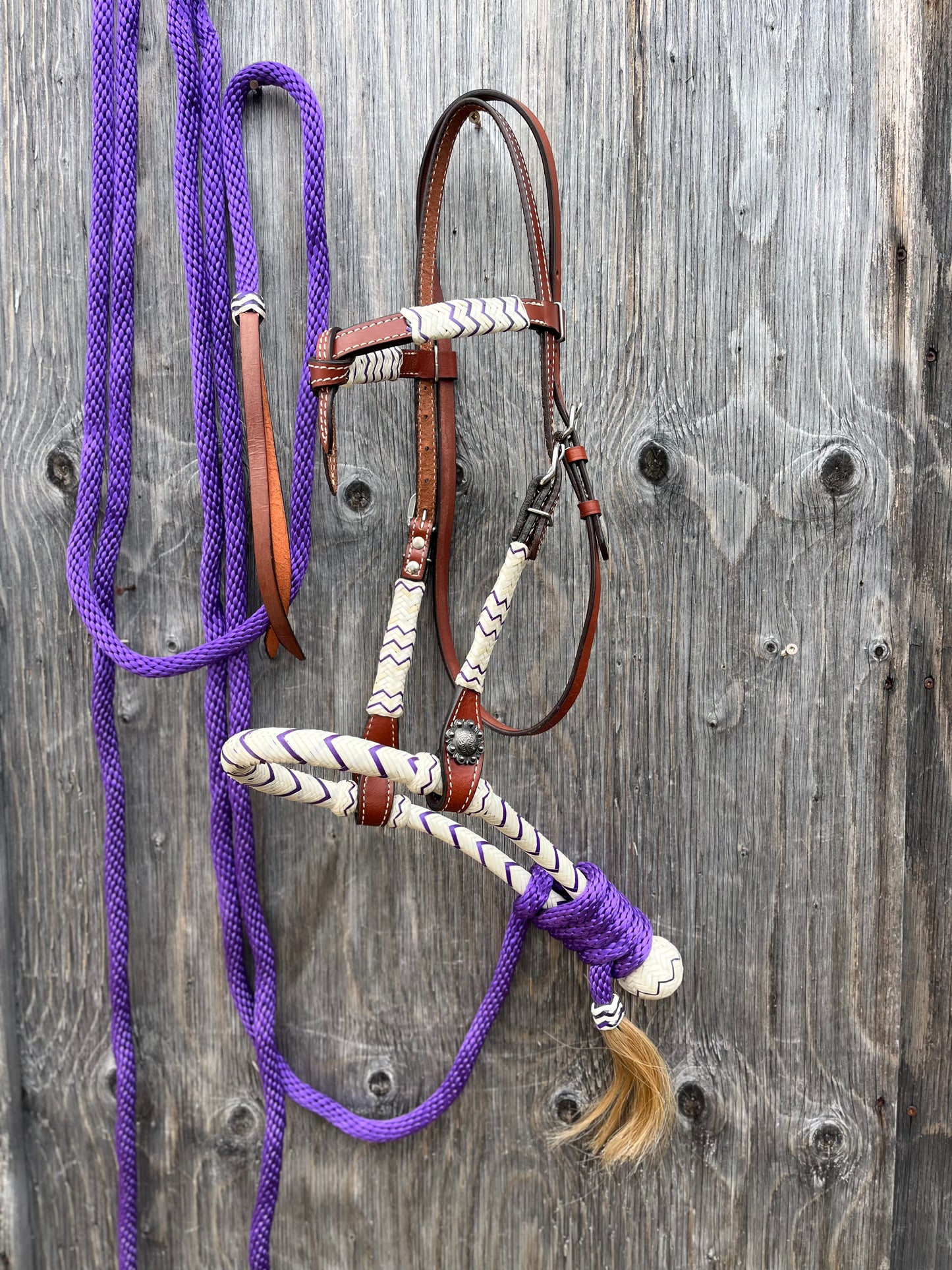 Purple bosal set