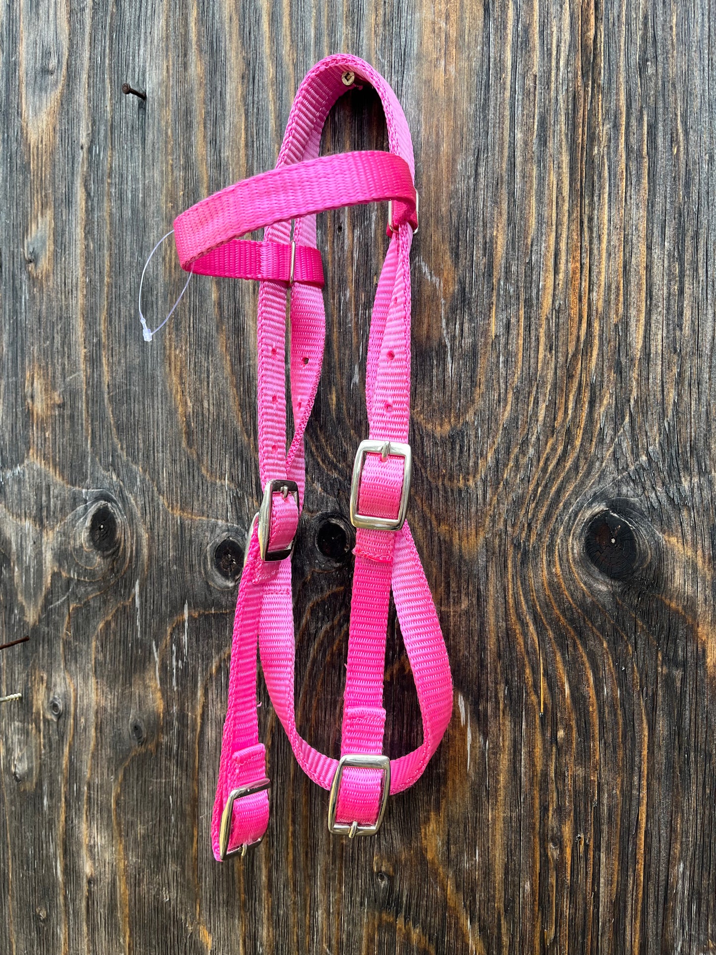Small Pony pink browband nylon headstall
