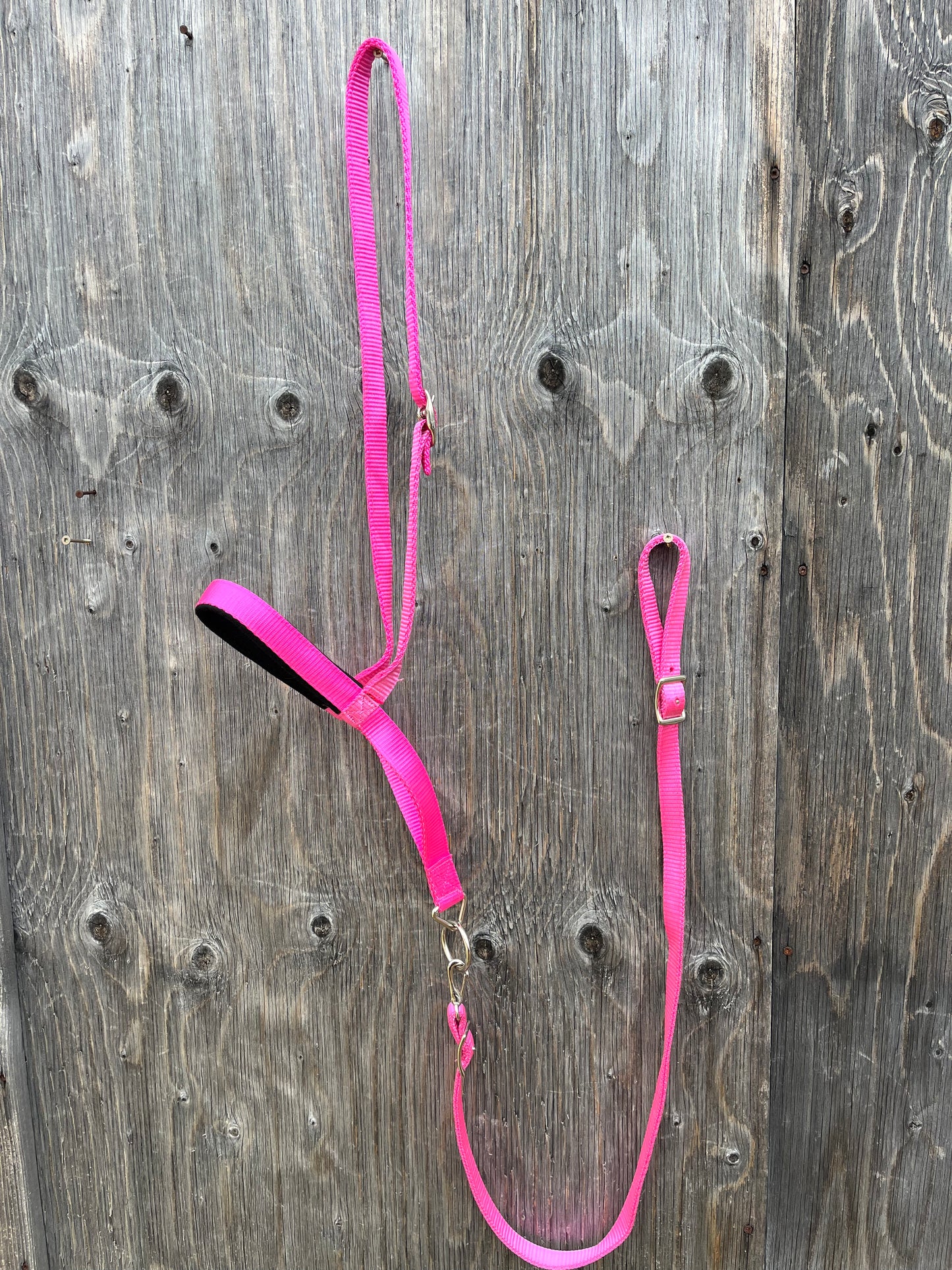 Pink nylon noseband and tie down set