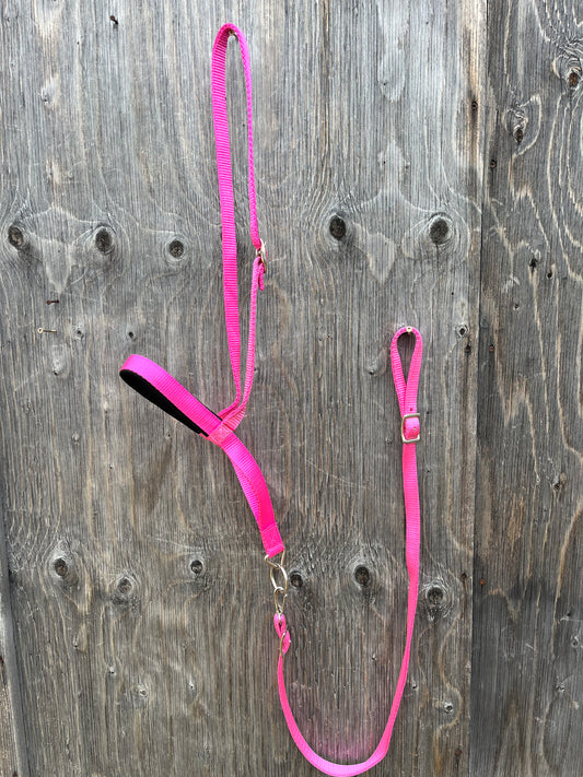 Pink nylon noseband and tie down set