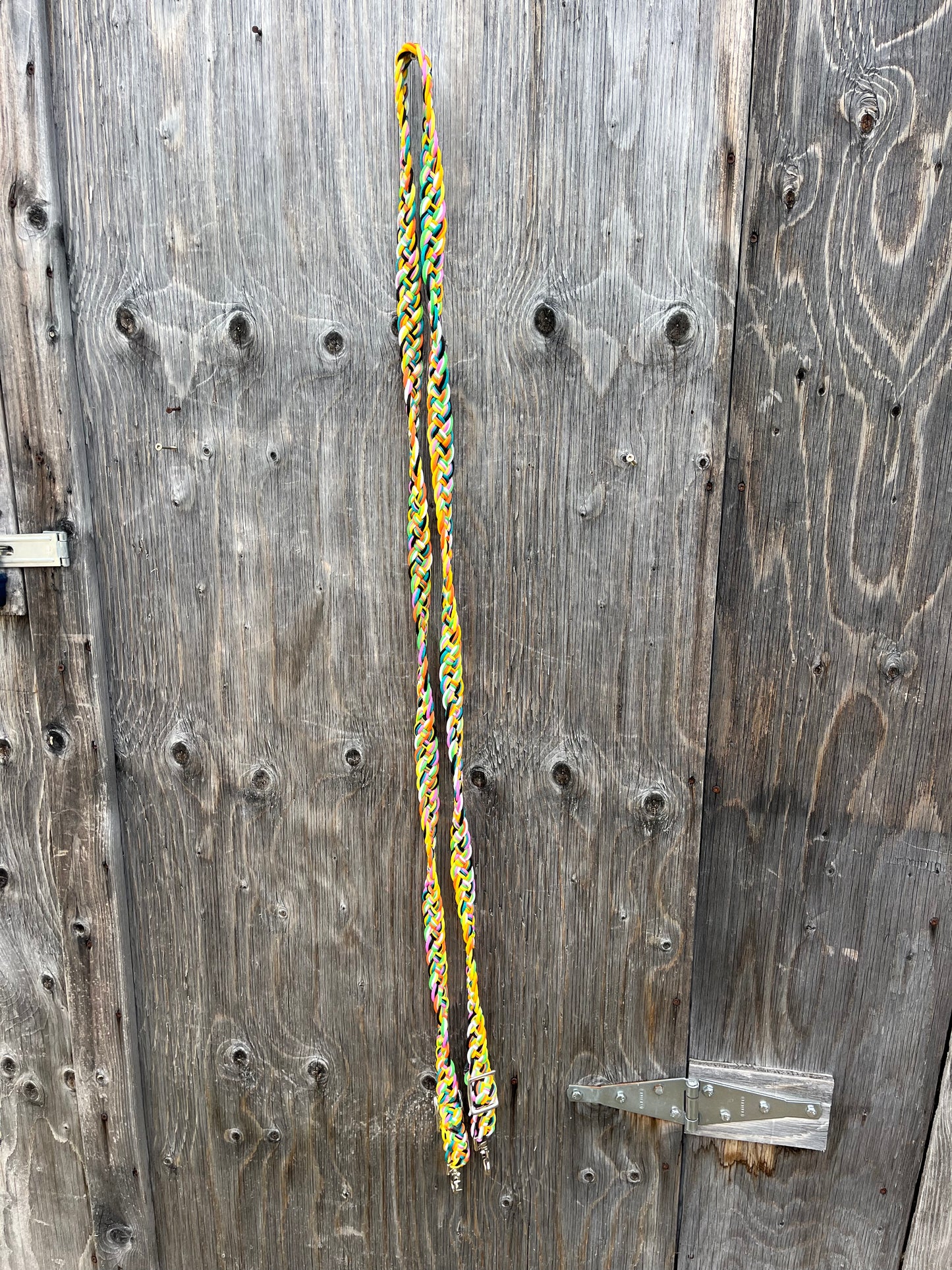Rainbow reins with snaps