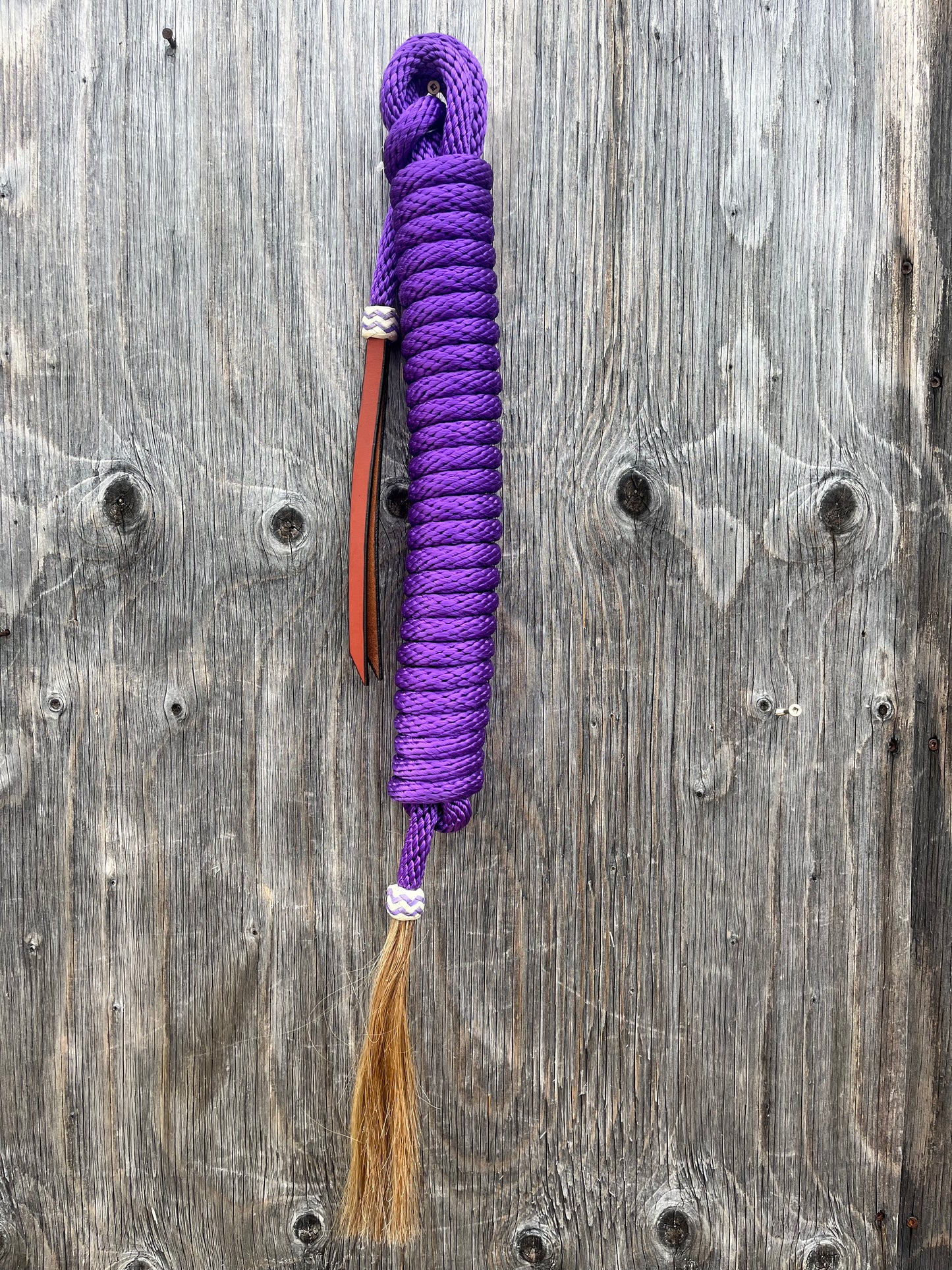 Purple mecate reins