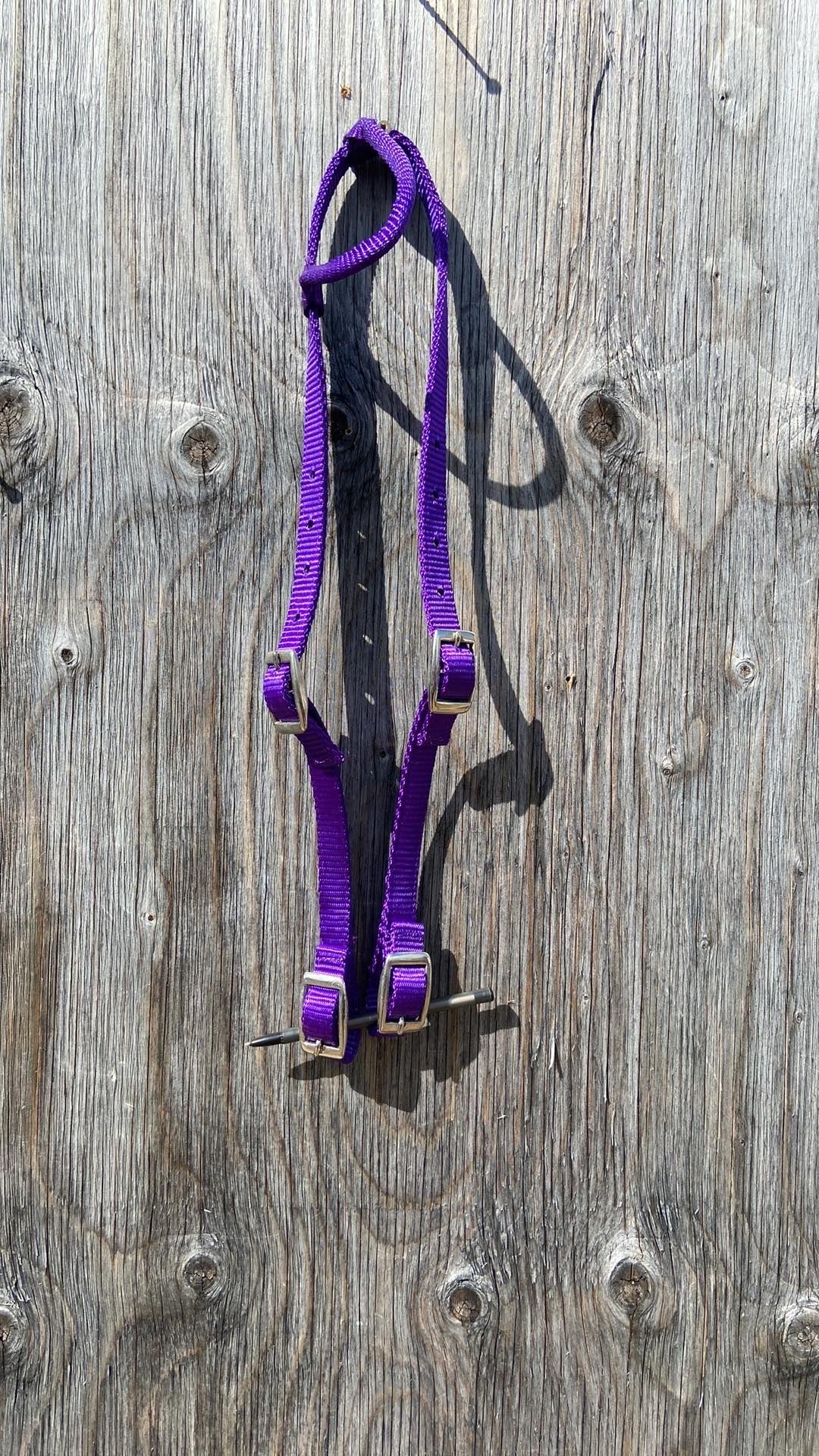Purple nylon quick change one ear