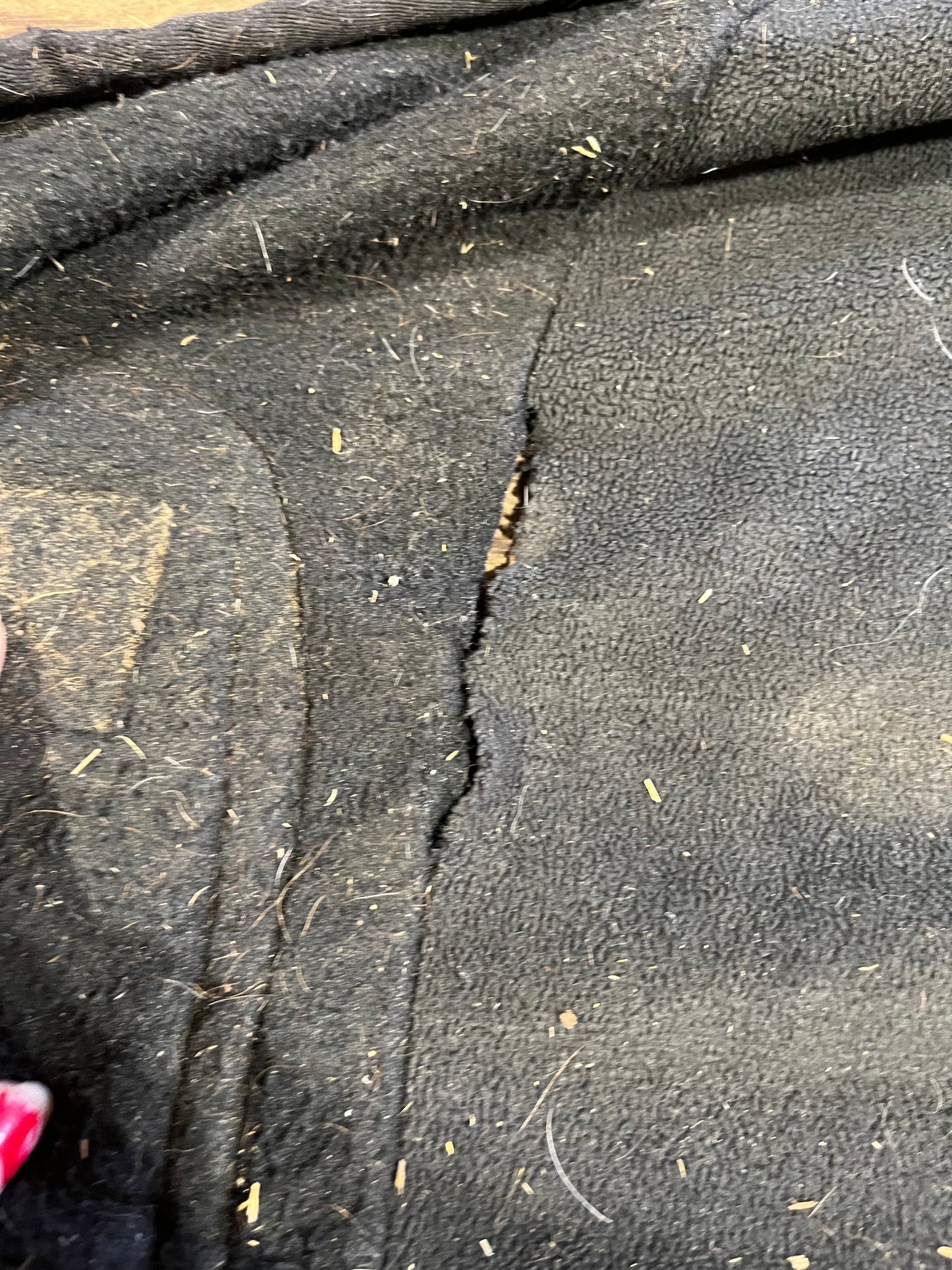 78 Canadian horsewear dress cooler