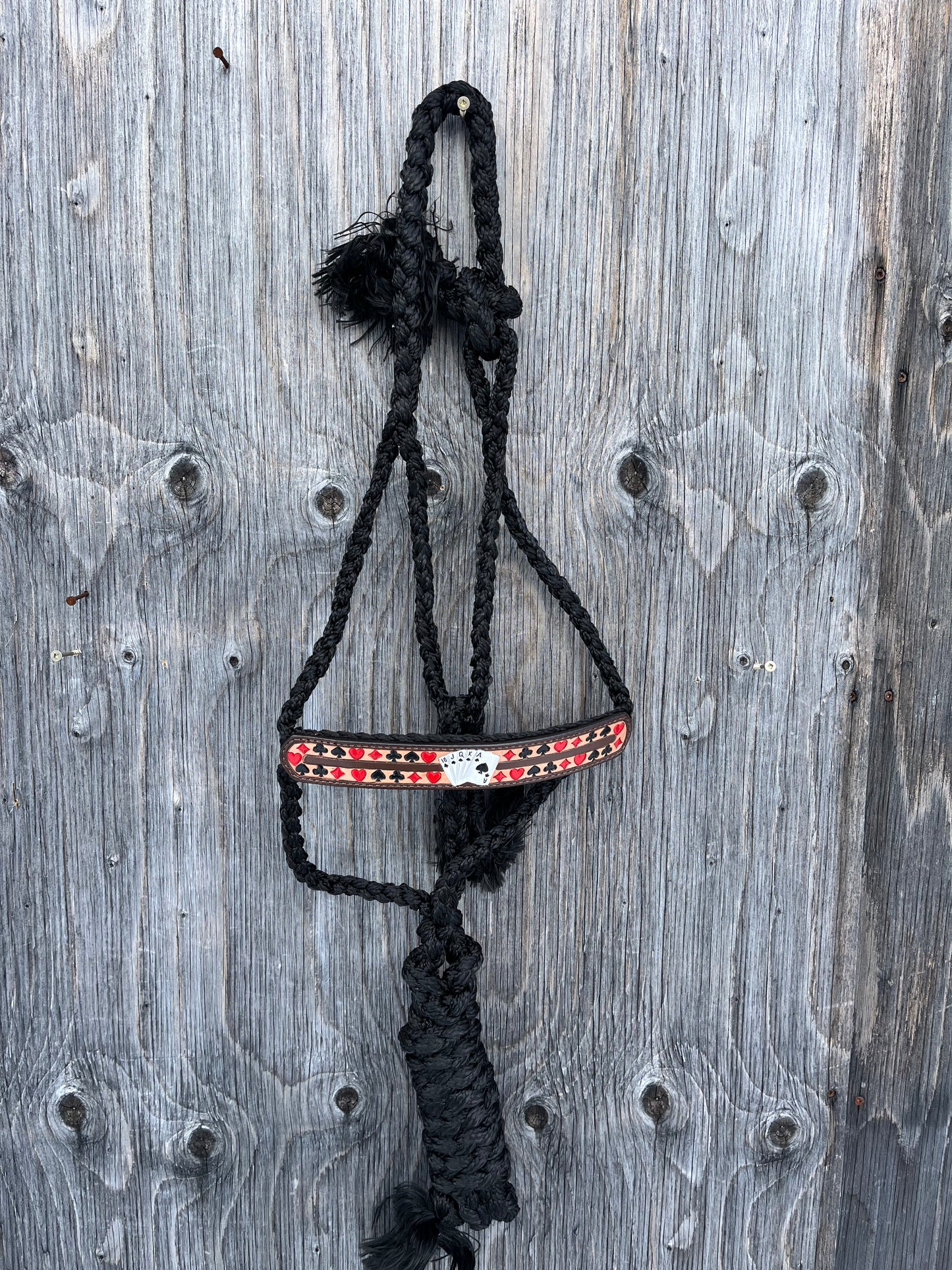 Gambler muletape halter and lead