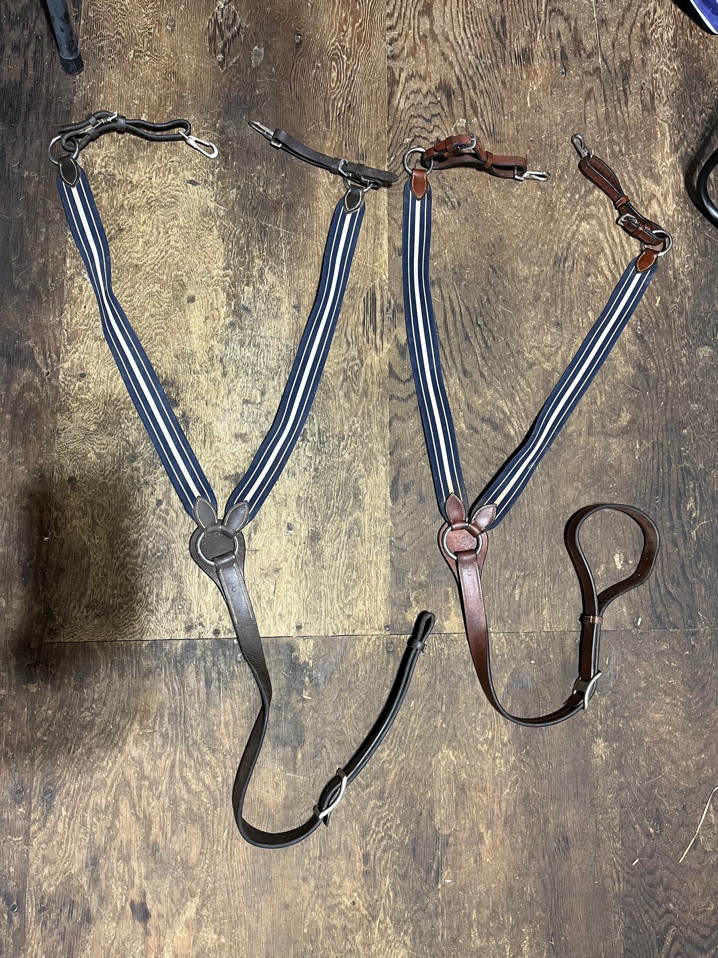 Cob size elastic breastplate