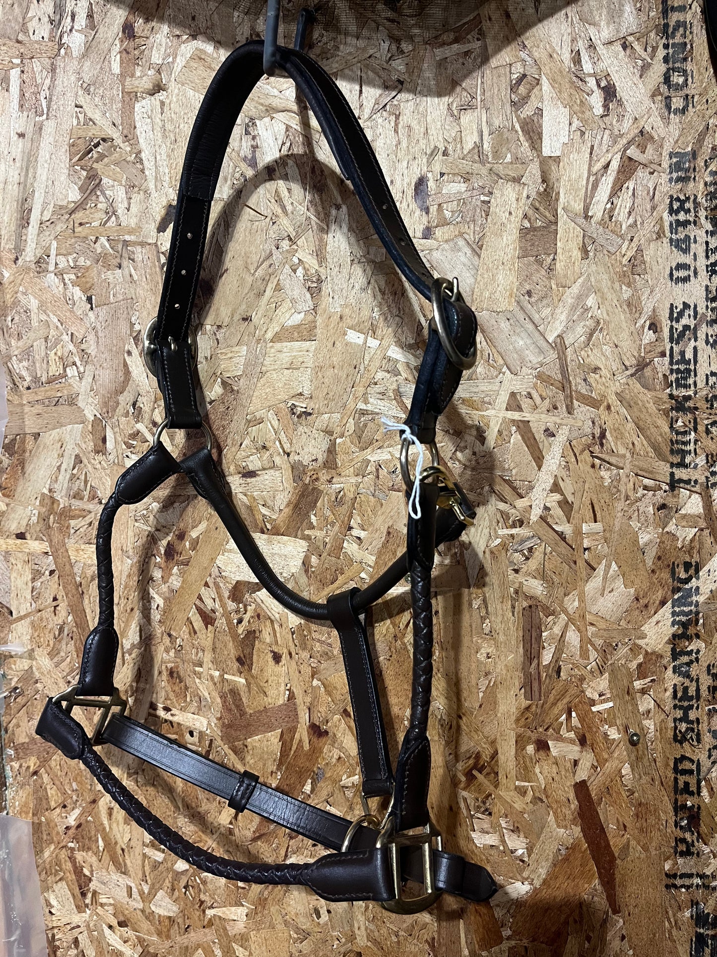 Leather halter with braided nose and cheeks