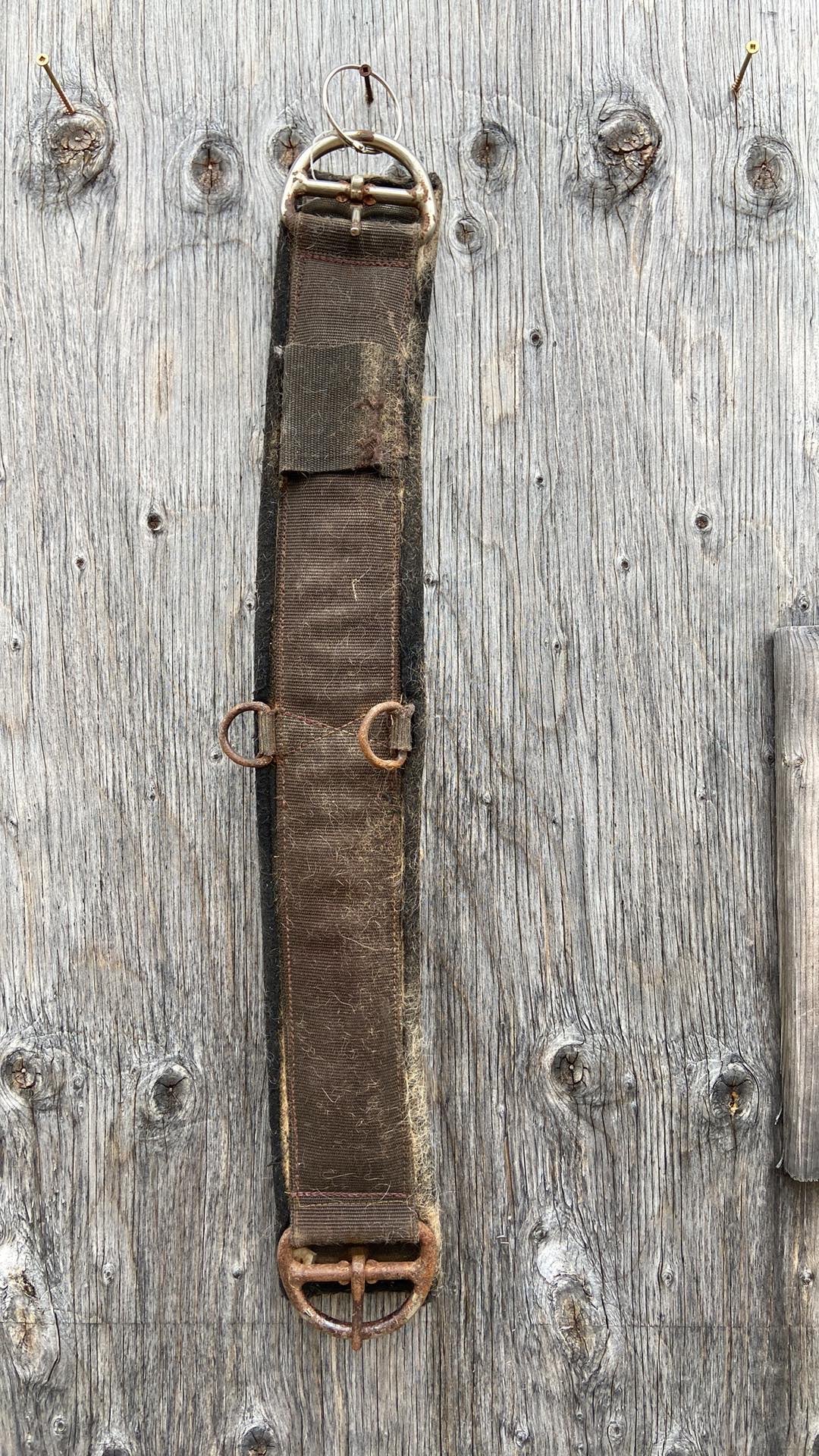 28” western cinch