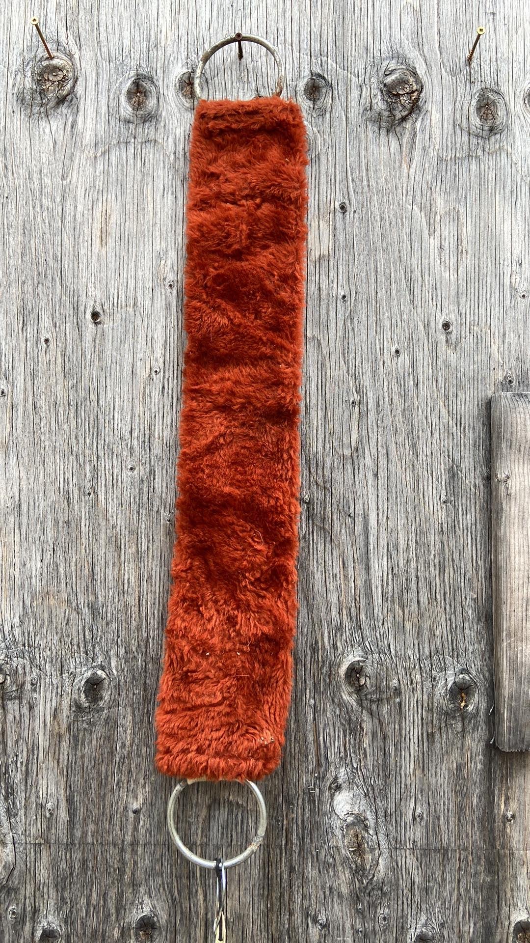 30” western cinch no buckle is to be looped