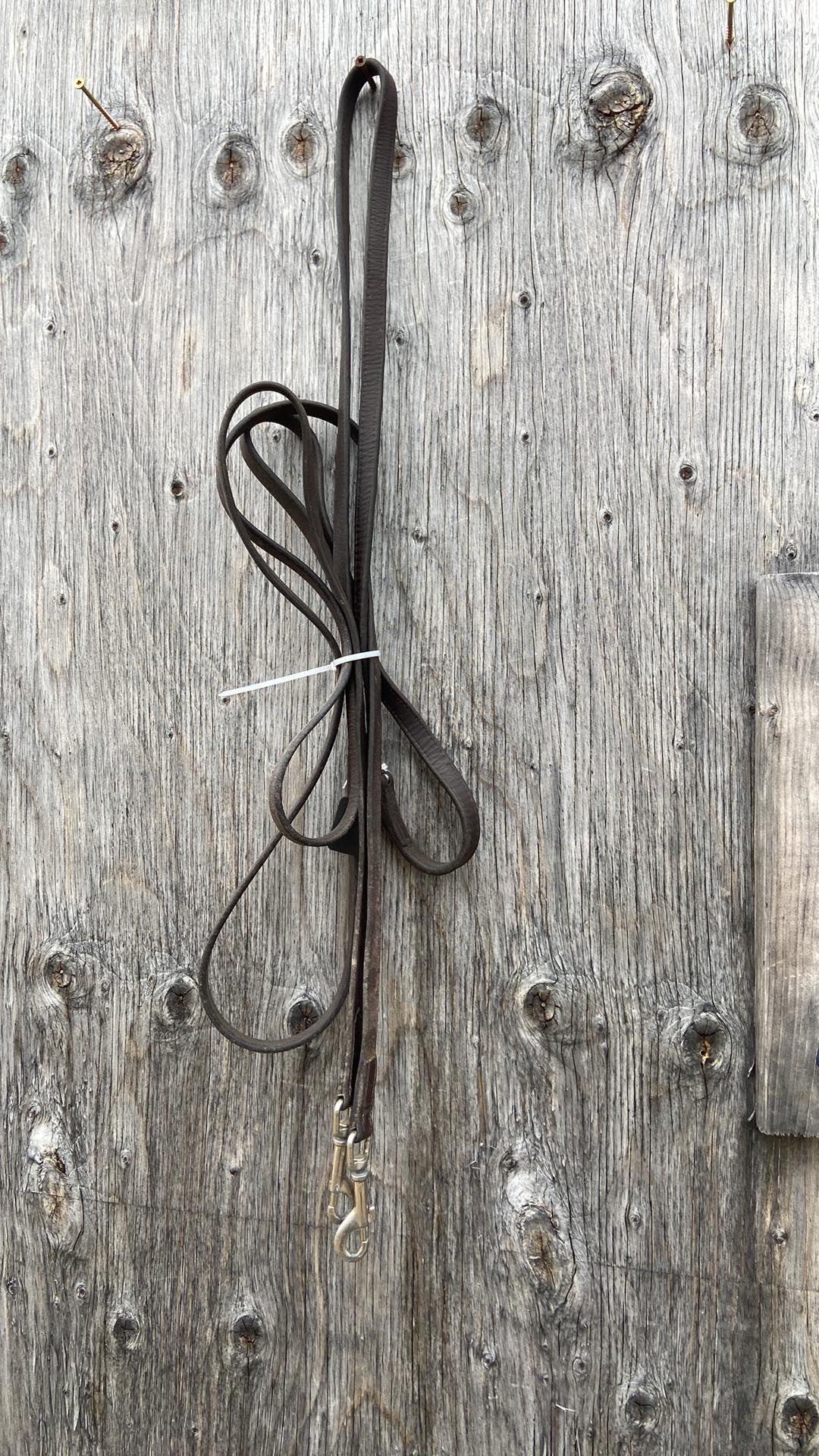 Long leather reins with snaps